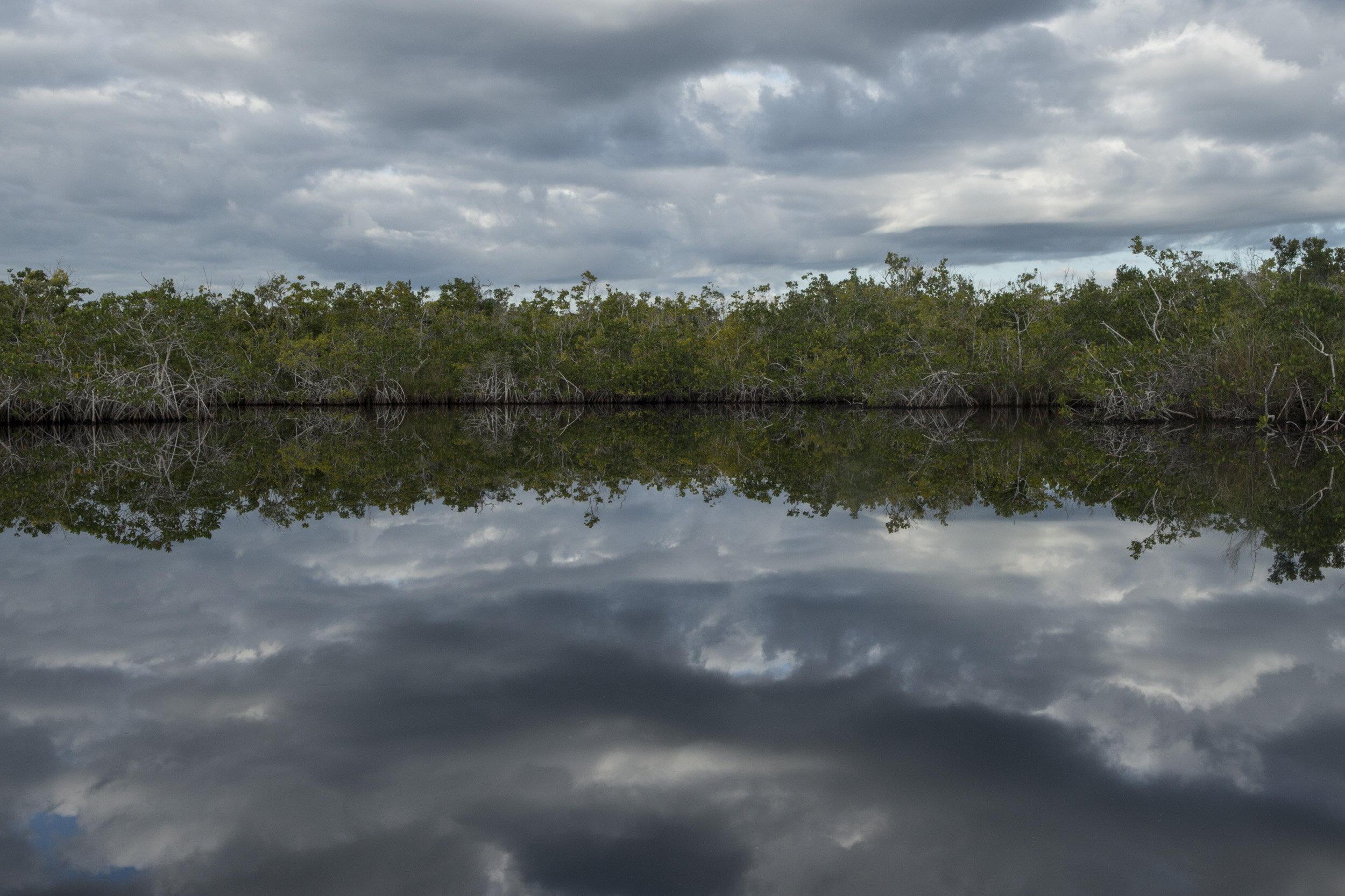 Everglades_NP_065.jpg