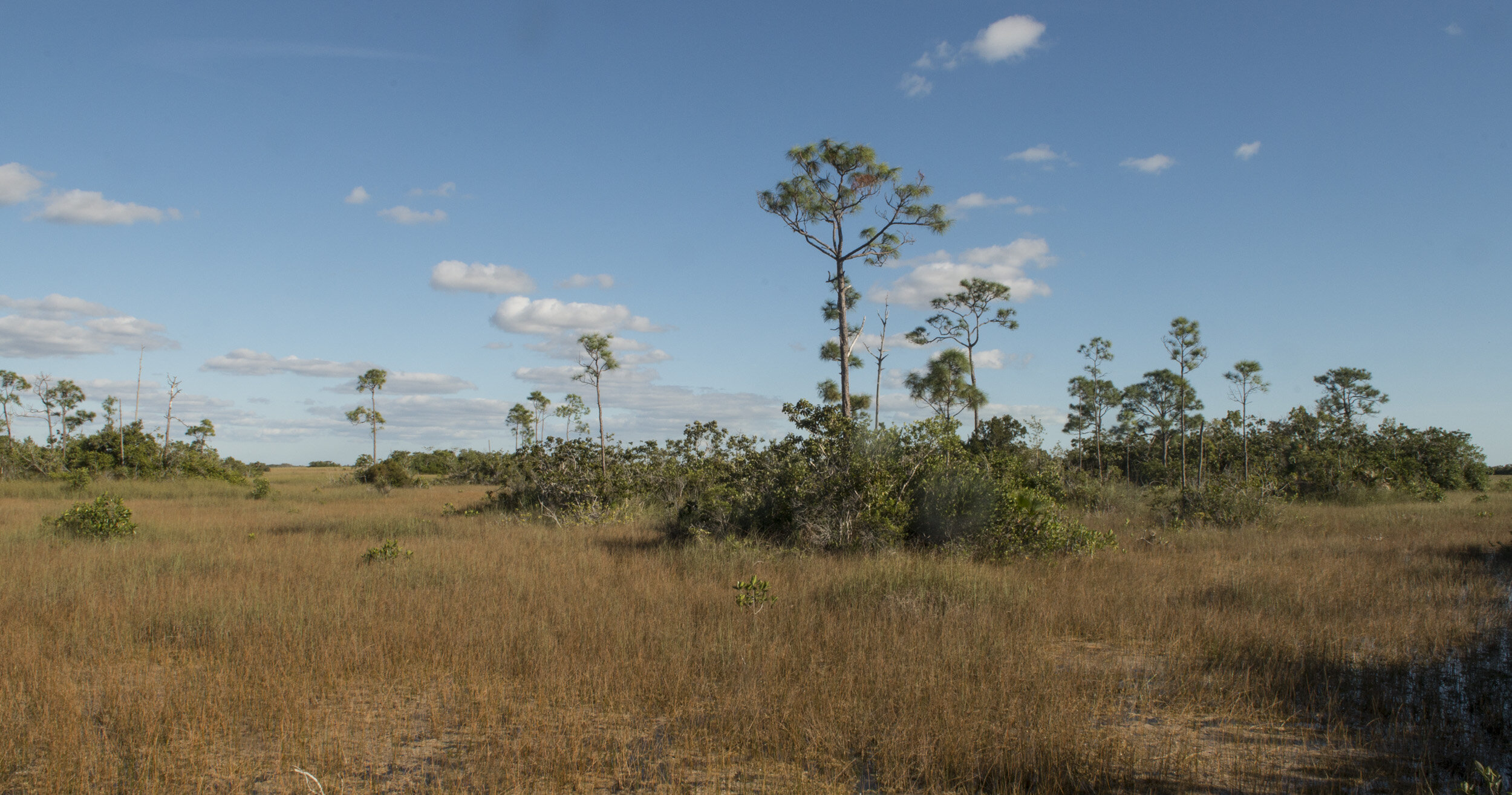 Everglades_NP_099.jpg