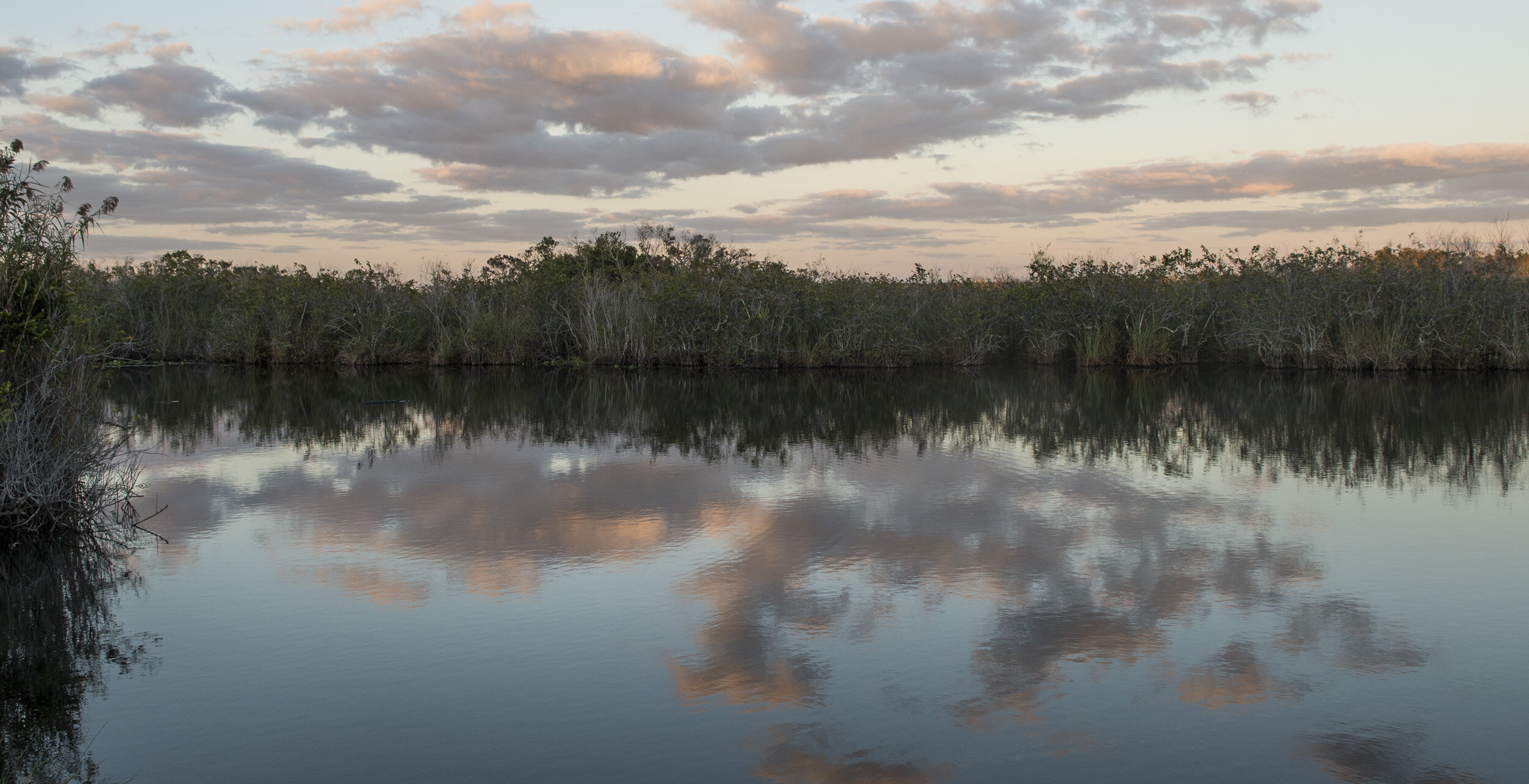 Everglades_NP_125.jpg