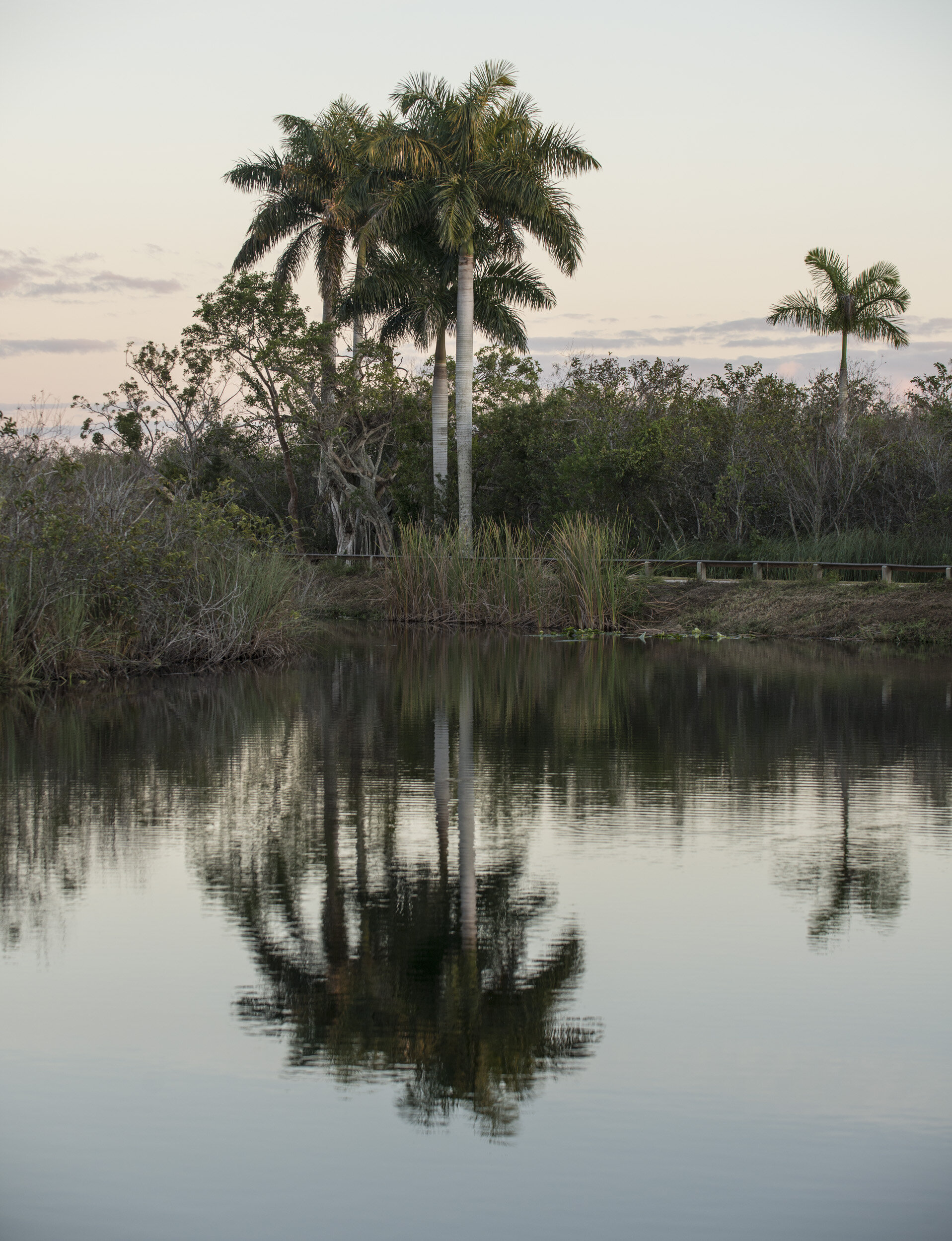 Everglades_NP_126.jpg