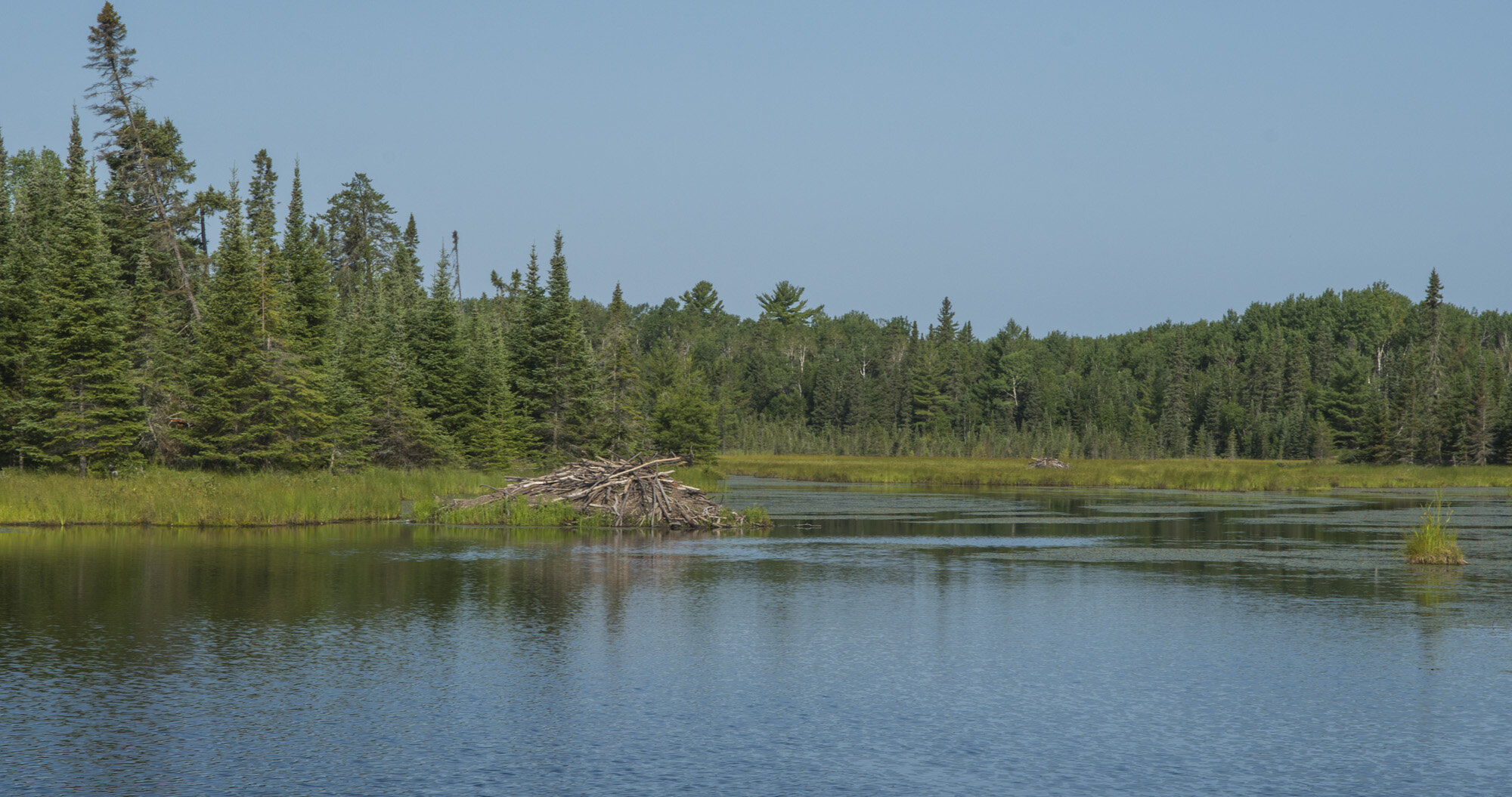 Voyageurs_NP_035.jpg