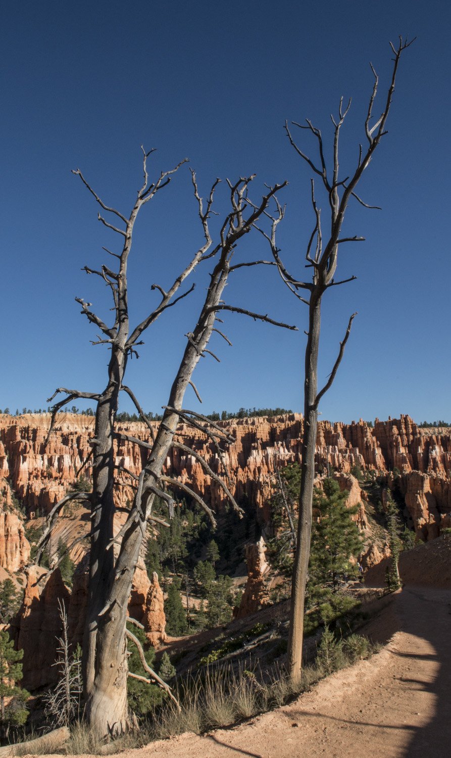 Bryce_Canyon_33.jpg