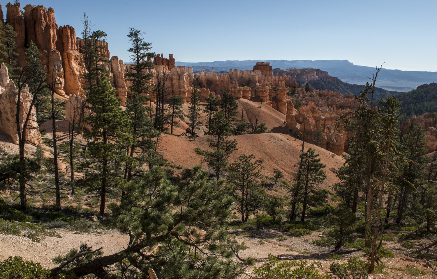 Bryce_Canyon_40.jpg