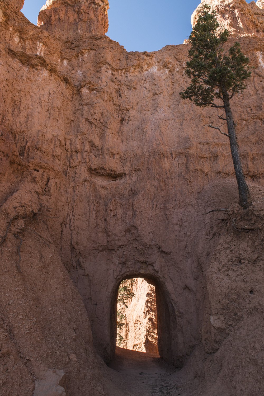 Bryce_Canyon_44.jpg