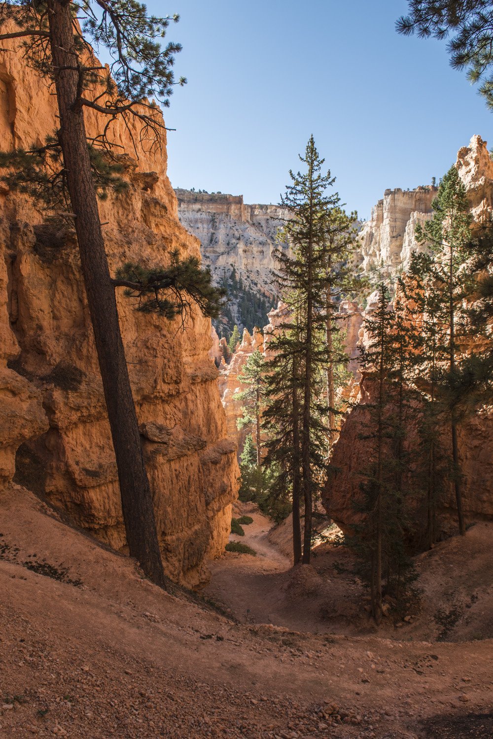 Bryce_Canyon_46.jpg