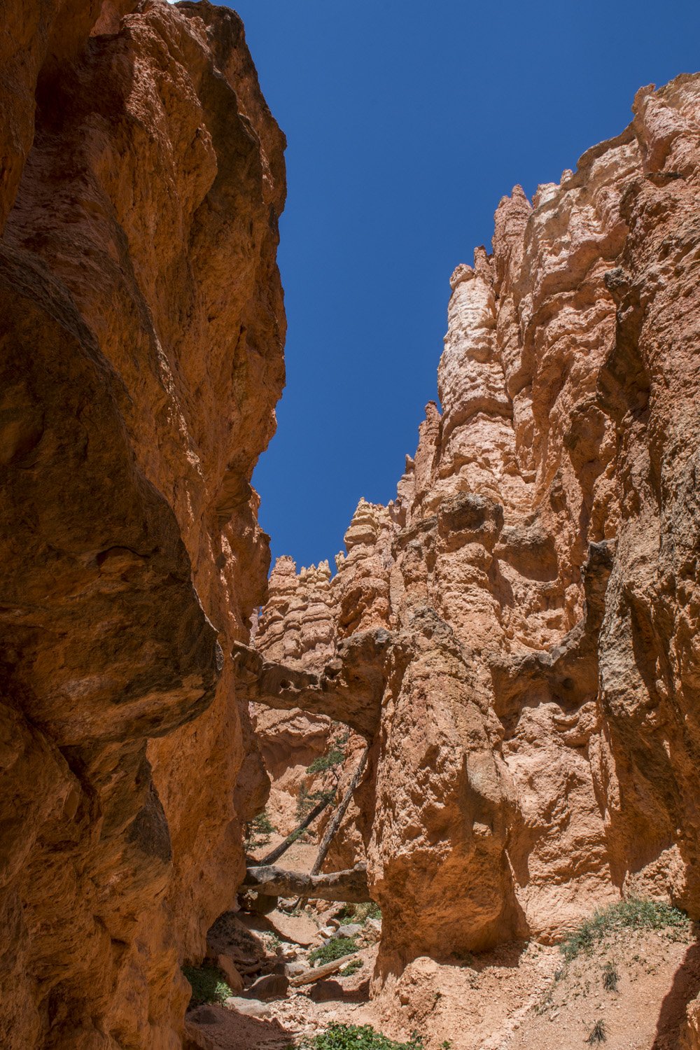 Bryce_Canyon_74.jpg