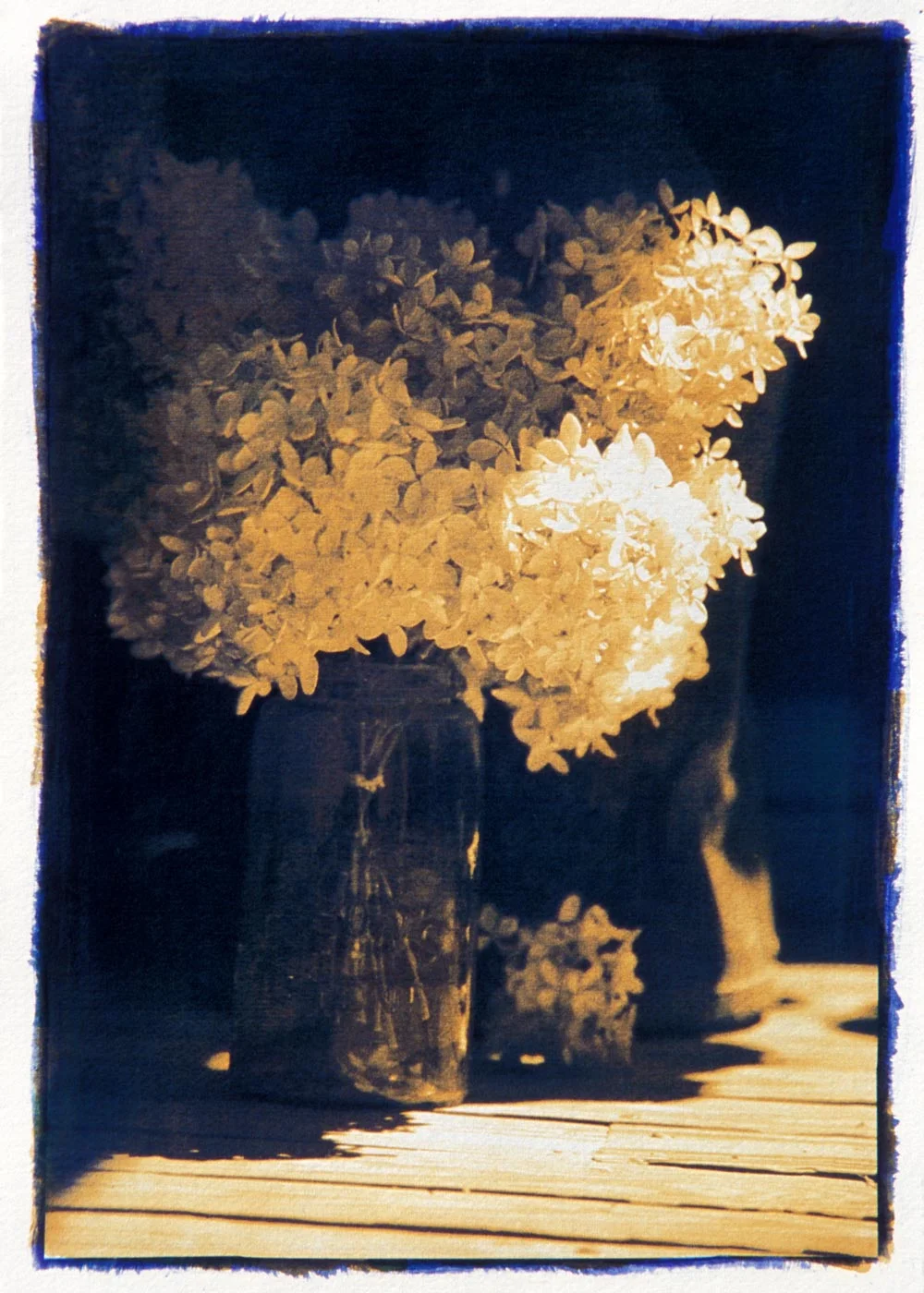 _hydrangeas.jpg