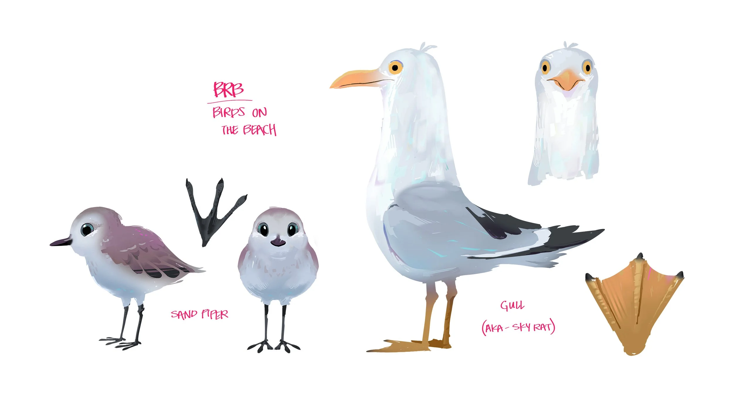 BRB_SeaGull.jpg