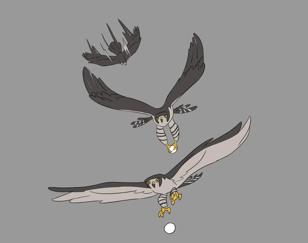YUK_PR007_Falcon_Design_Colour_V001.jpg
