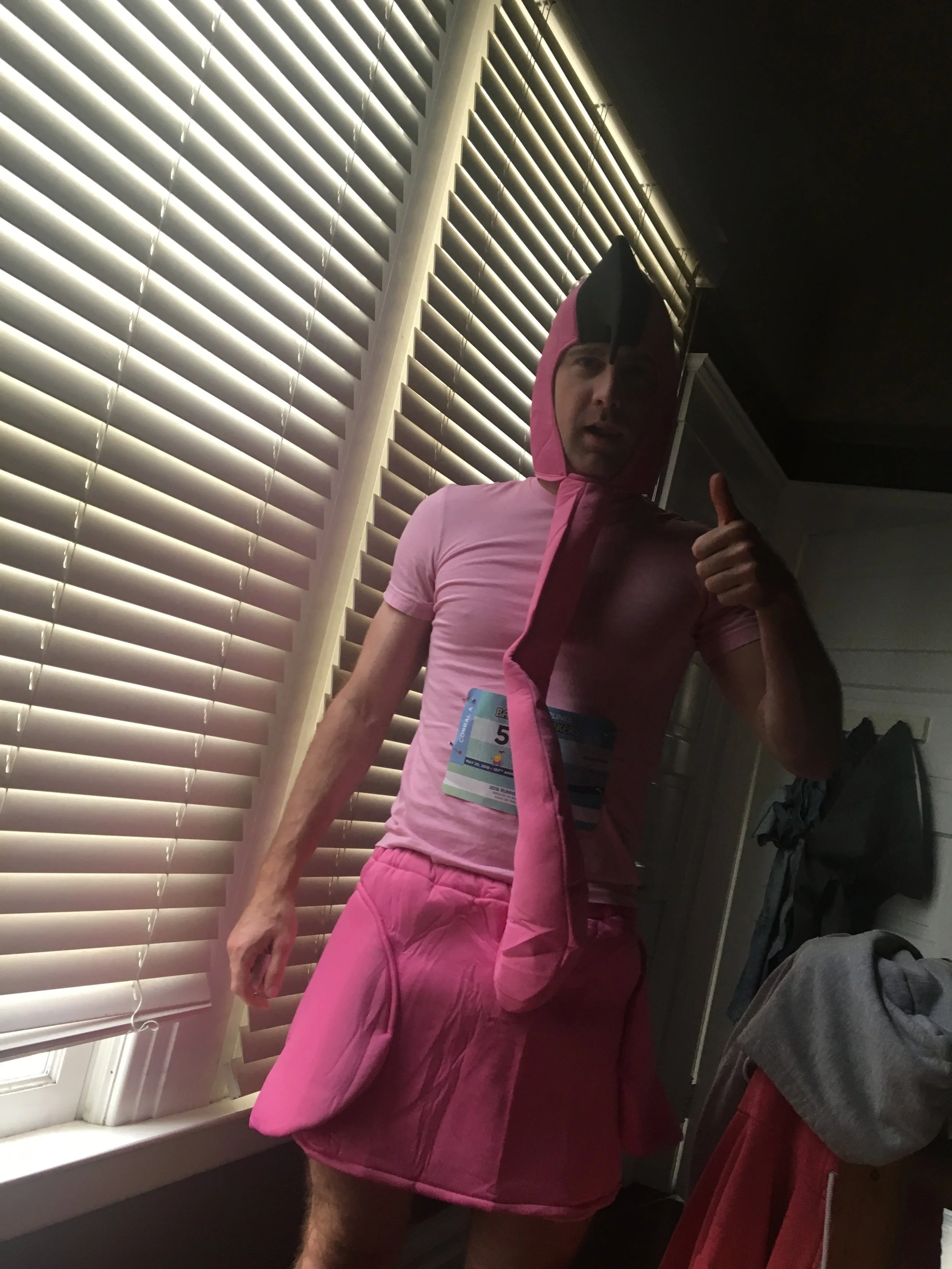 Morning Flamingo.jpg