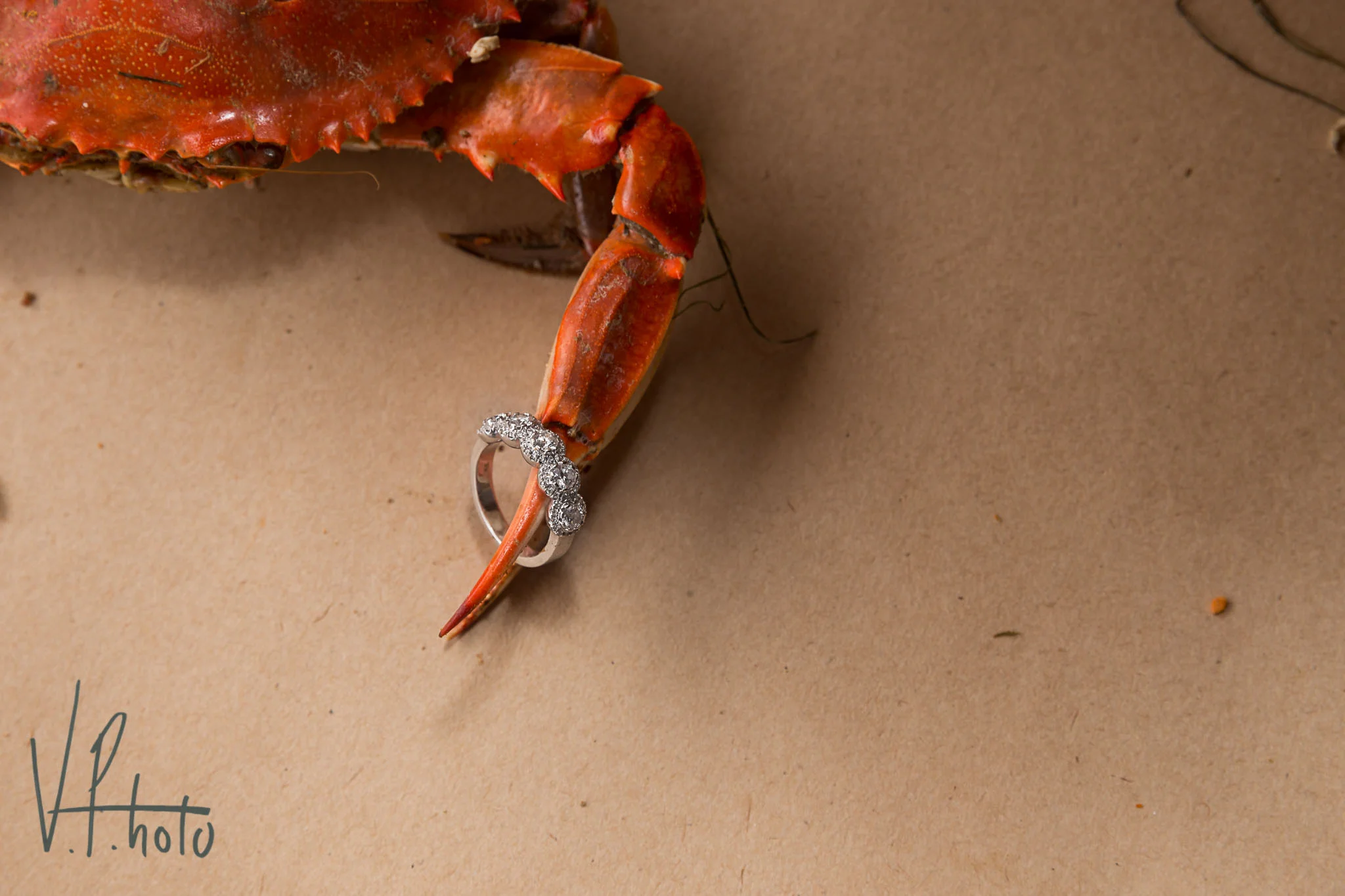 Ocean City, Maryland Wedding: Renee + Kieth