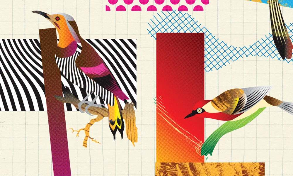 DEJJ_Patterns_Detail_03.jpg