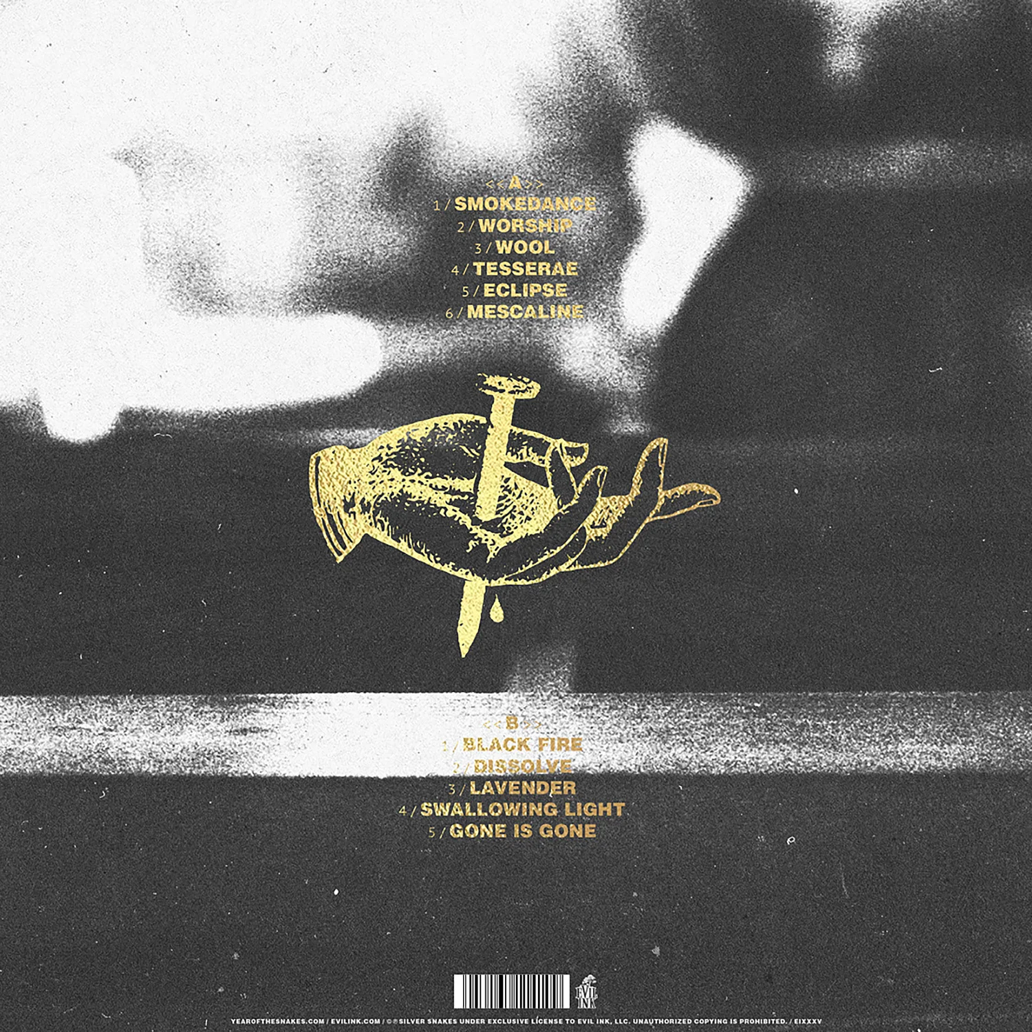 SS-DATM_Vinyl_Back.jpg
