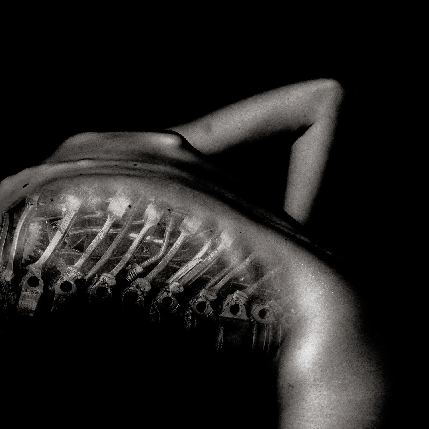 P86_Transhuman_Art_03.jpg