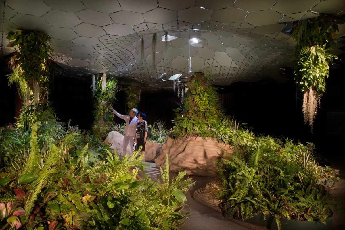 Lowline Lab
