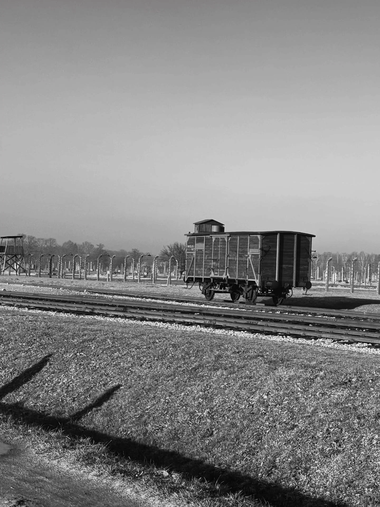 81 years ago today, Auschwitz-Birkenau was liberated by Soviet troops. Today is the International Holocaust Remembrance Day. 

We remember&mdash; but memory is not enough.

History demands our voices. Stand with us. Speak up.
Never Again is Now.

Pho