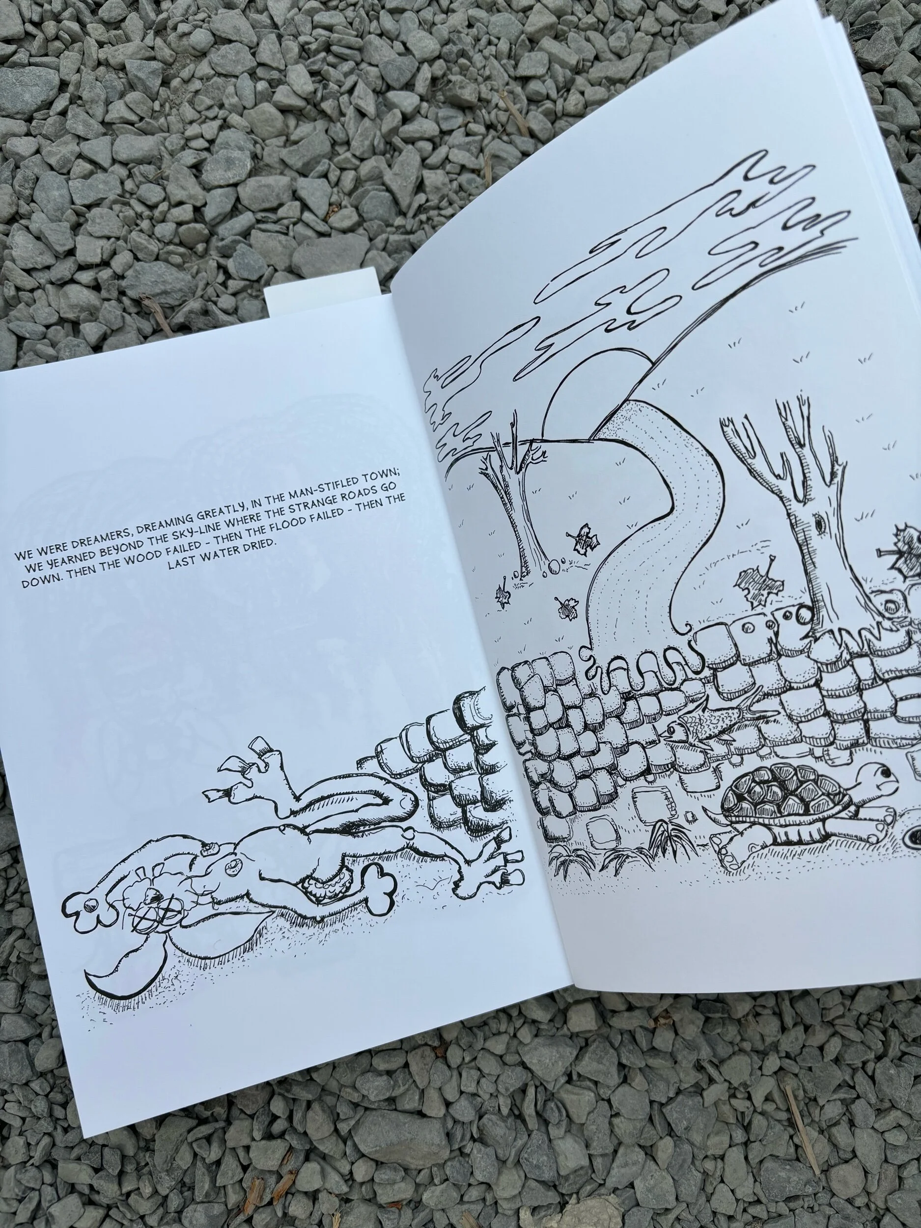 6E6AAB8F-D014-4E57-9B43-661DBB078DC5