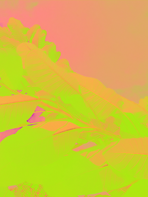 Screen Shot 2018-09-06 at 6.14.39 PM.png