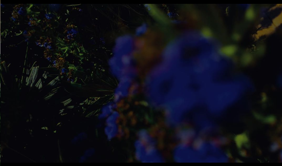 Screen Shot 2019-09-03 at 6.41.16 PM.png