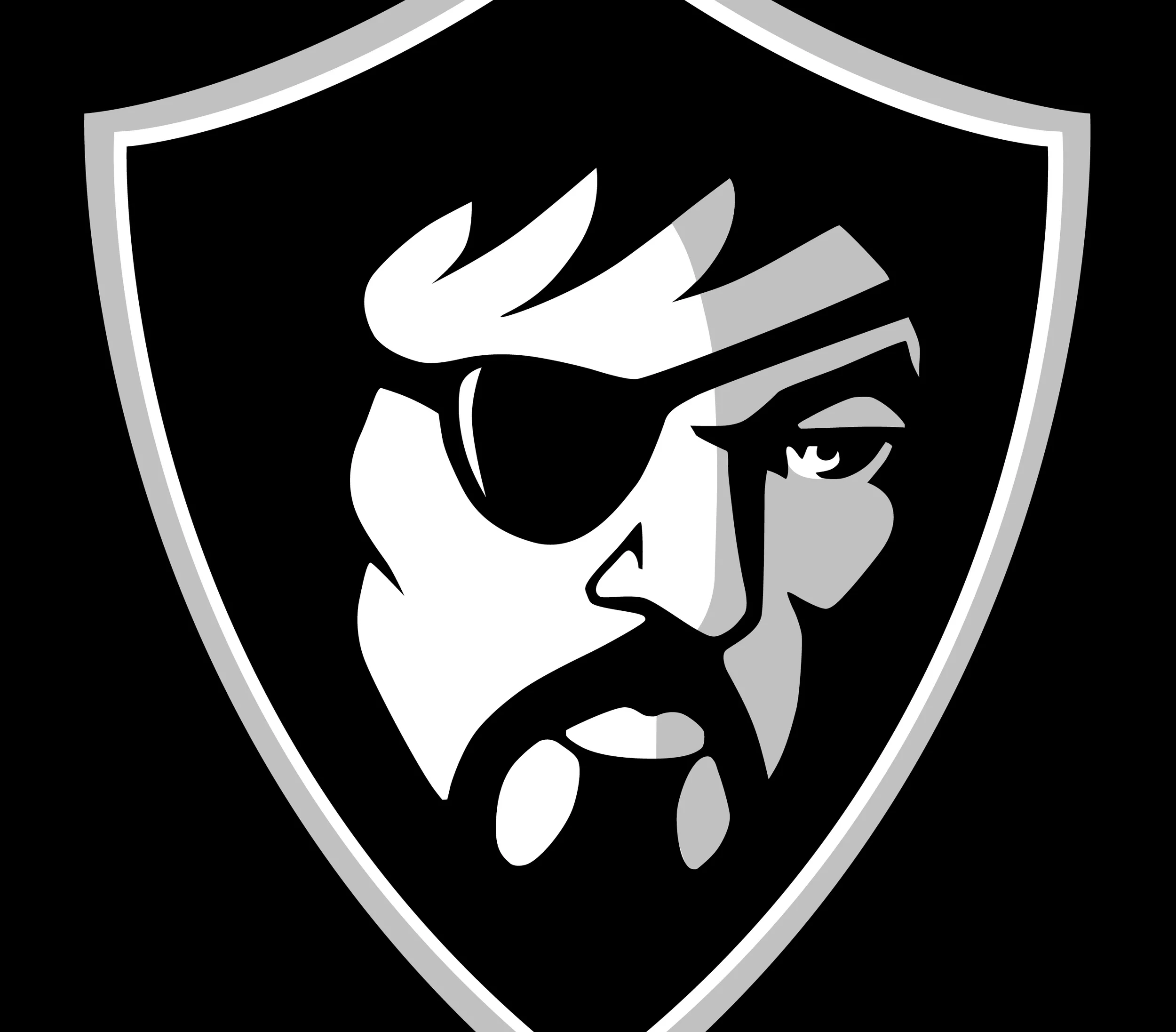 Raider Cover Website.jpg