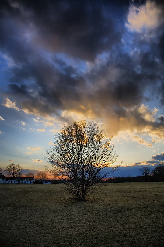 20090324013525_img_248436_hdr.jpg