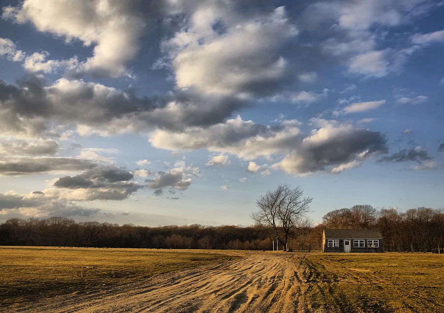 20090324014325_img_243660_hdr.jpg