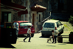 A bunch of kids playing soccer in the street. These street are really narrow, and is hard for cars to pass through, so they are generally safe. It seems the dog wants to play as well.