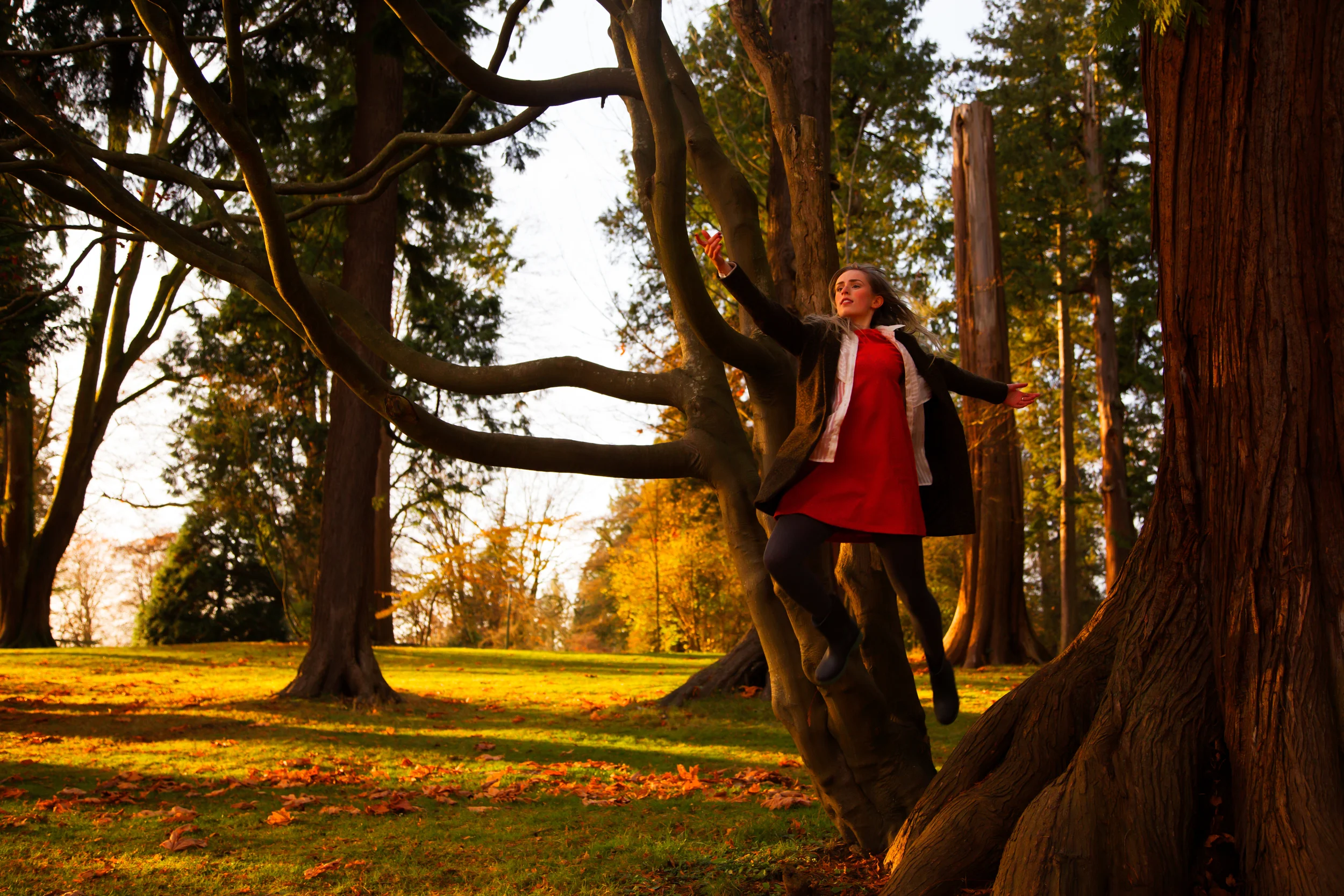 20131123-_86A4727Robin-Edit.jpg