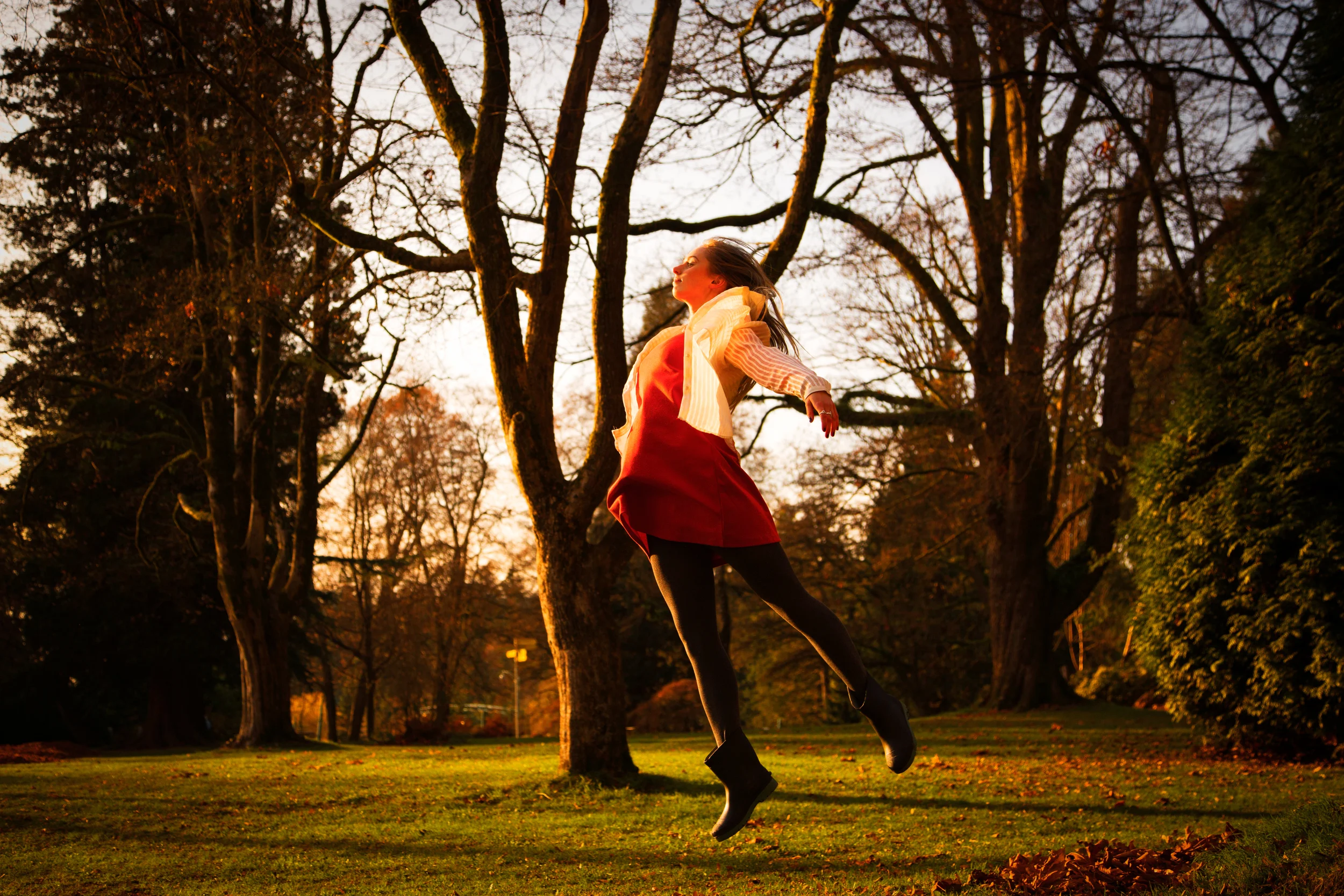 20131123-_86A4733Robin-Edit.jpg