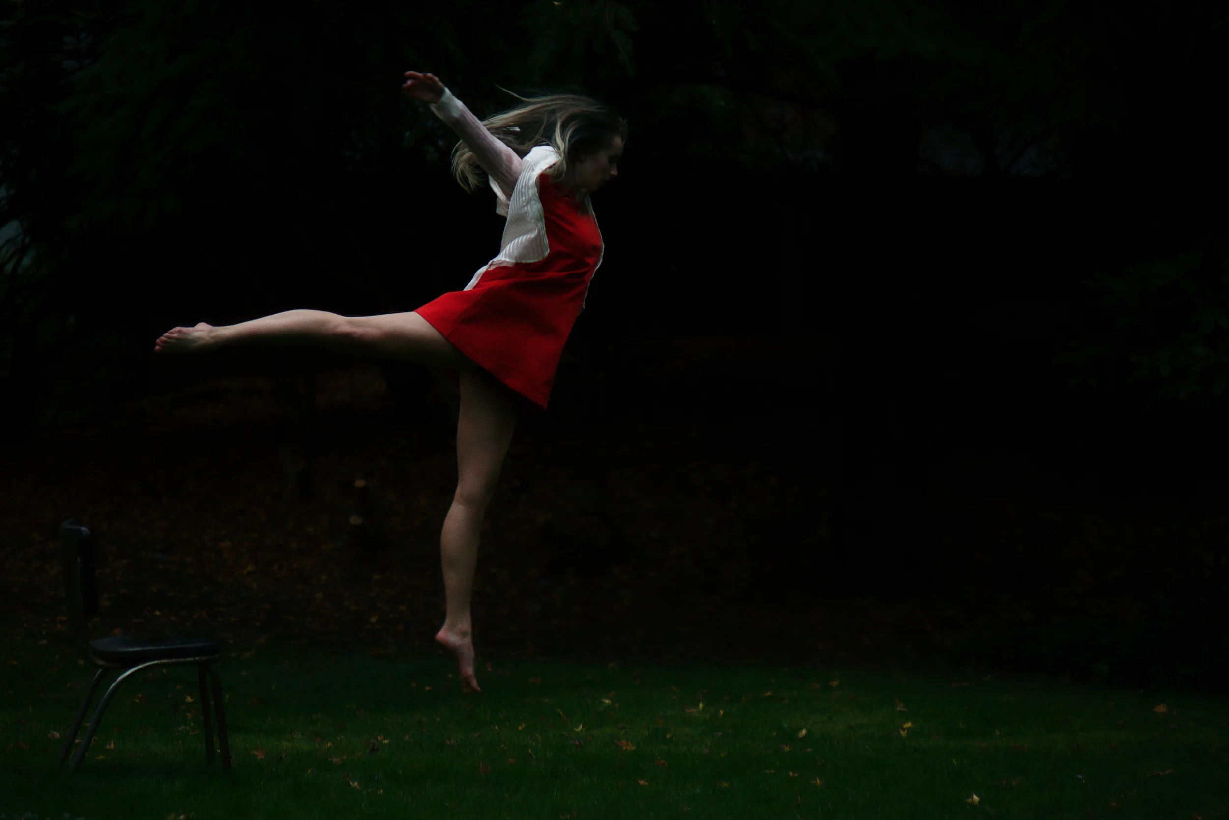 20131118-_86A4551Robin-Edit.jpg
