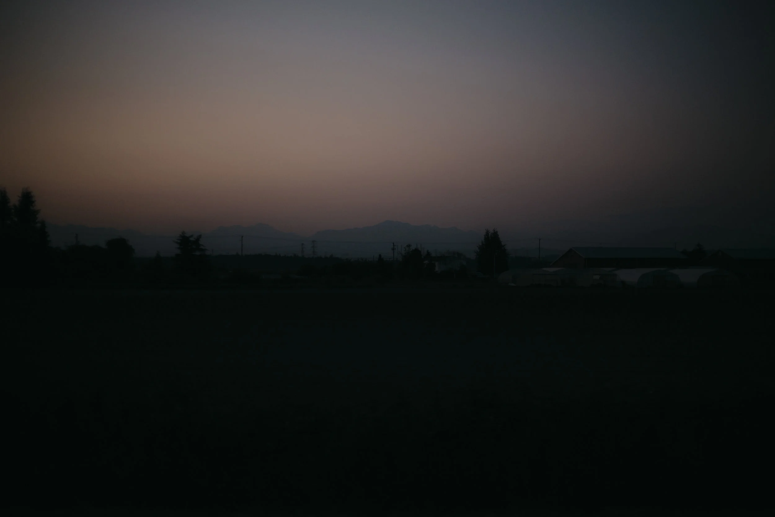 _86A0515.jpg
