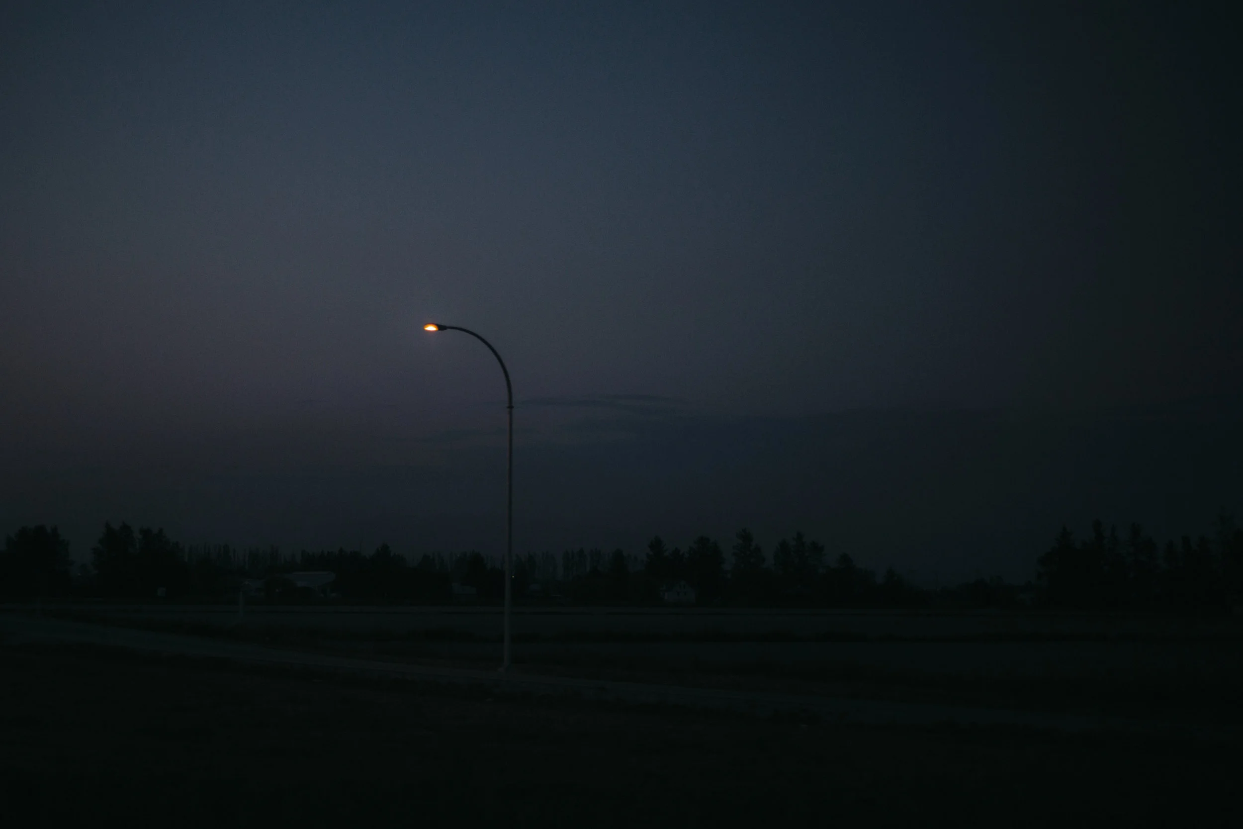 _86A0524.jpg