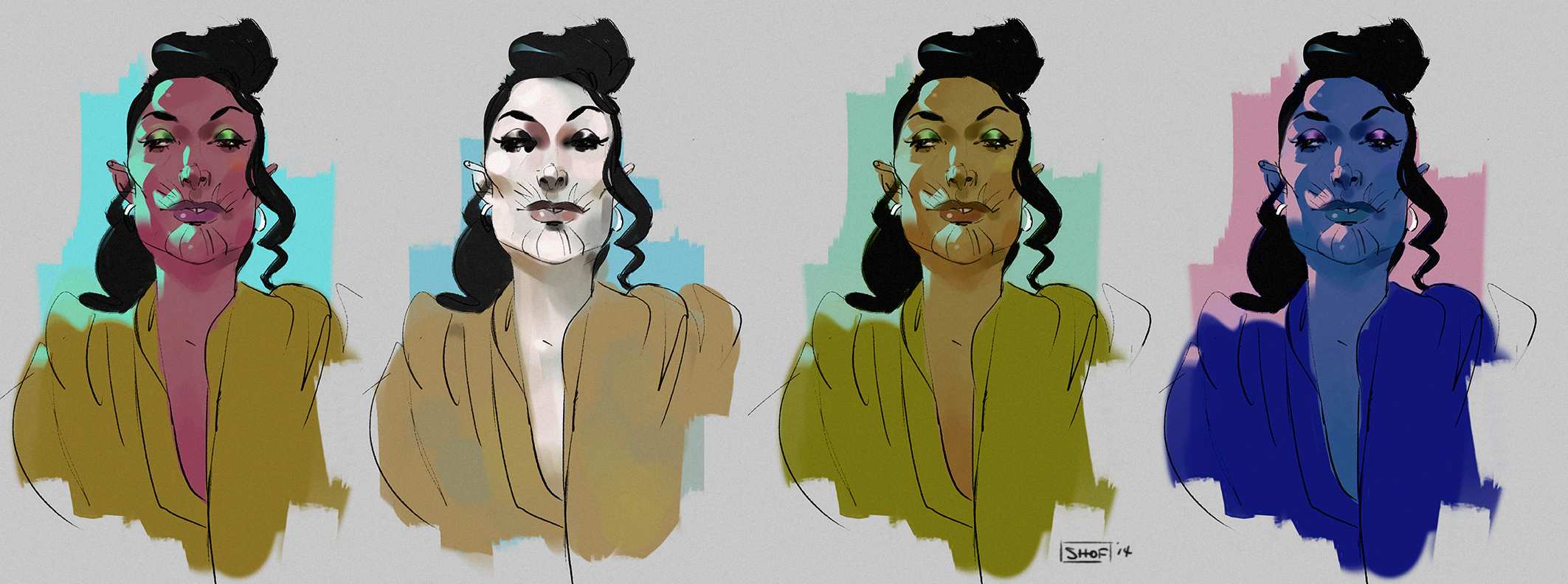 Shof's color tests for Sulesh