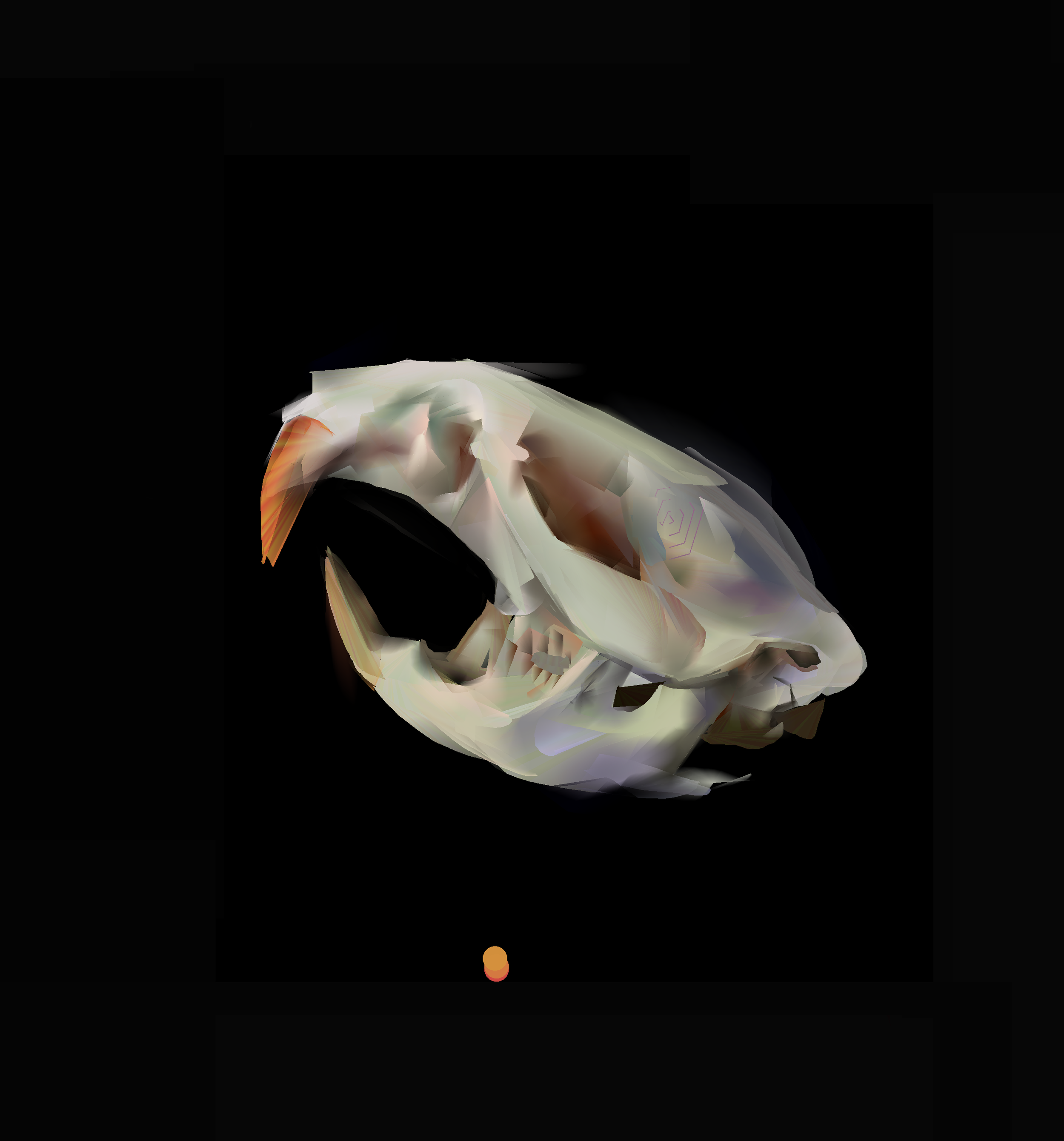 Skull.png
