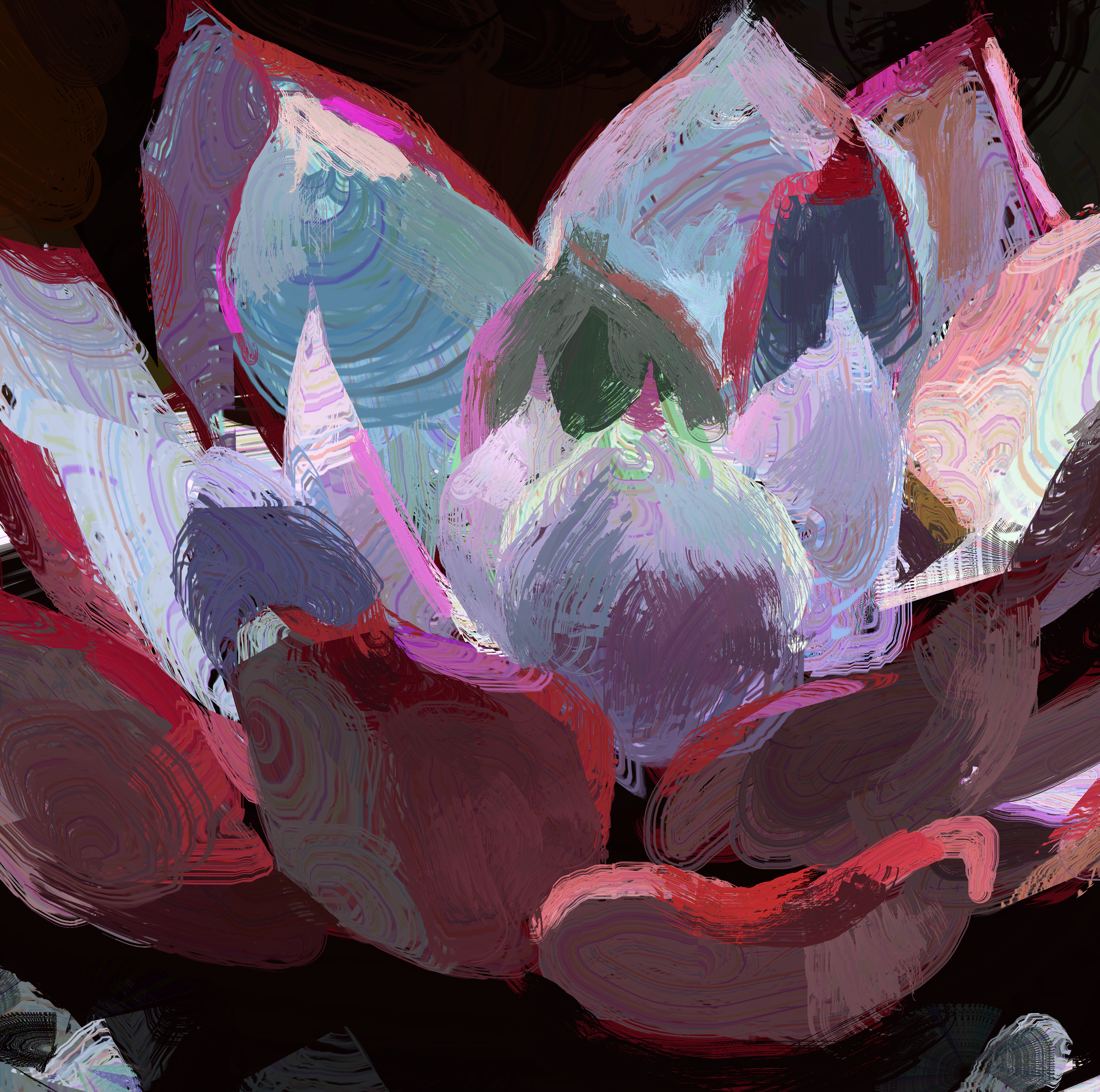 pachyvera03crop.png