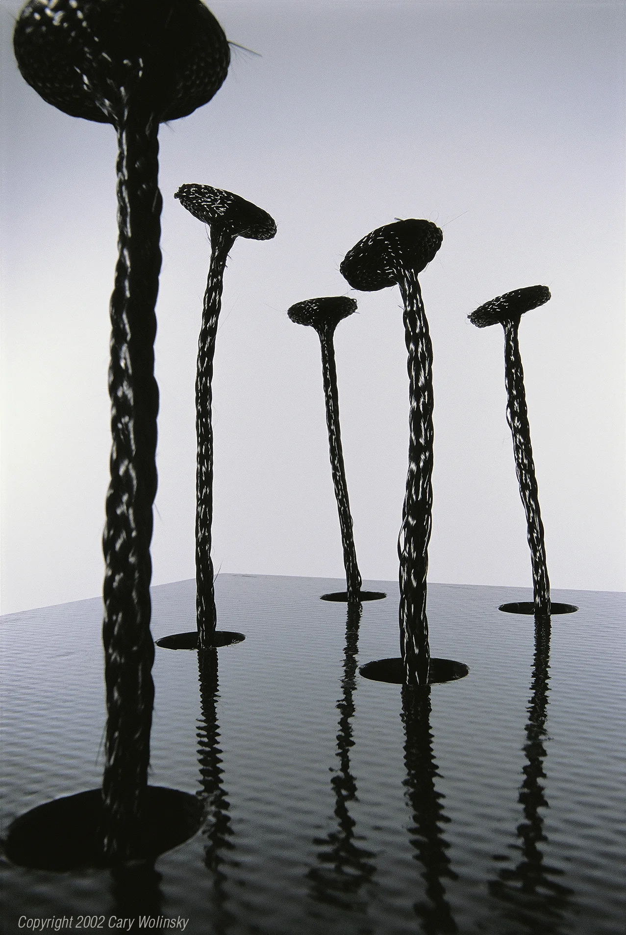 Carbon Fiber Valves