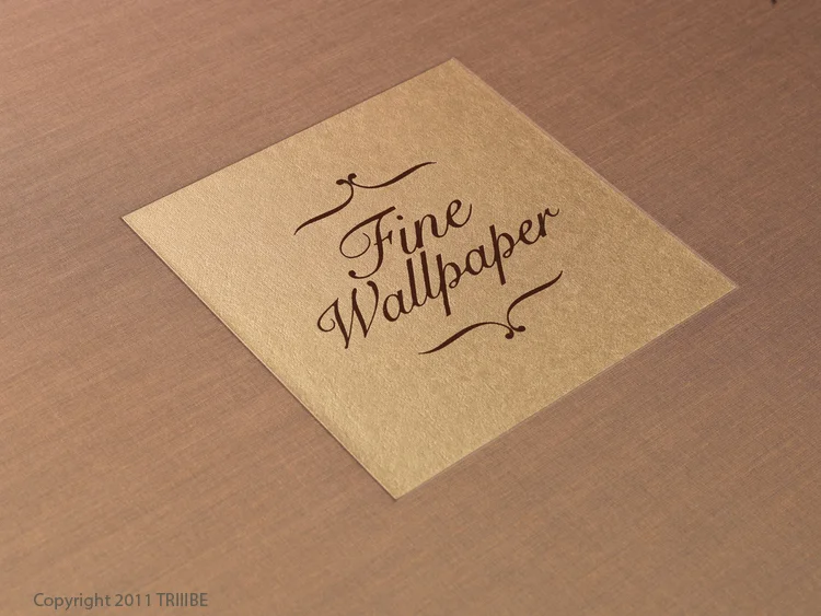  DECEMBER, 2011, NORWELL, MA: Still phtotographs made for an animation of the book, Fine Wallpaper by Triiibe, and Dan Kelm. 