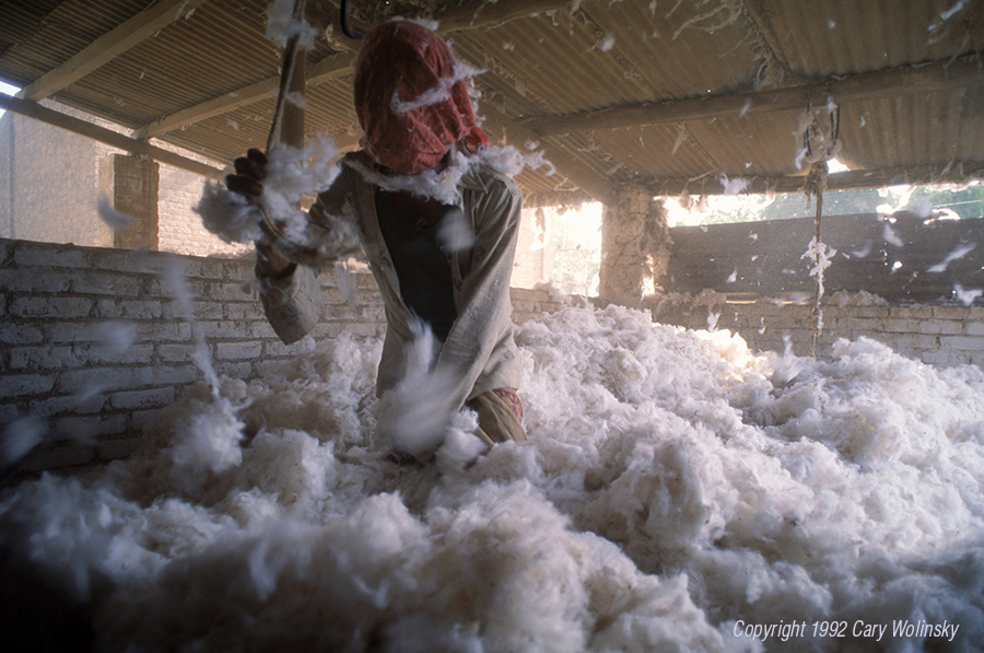 A worker at the Bavala Ginning Factory in Ahmedabad, India stands facing the cotton as it blows out of the gin, his head covered to protect his lungs from the lint. 