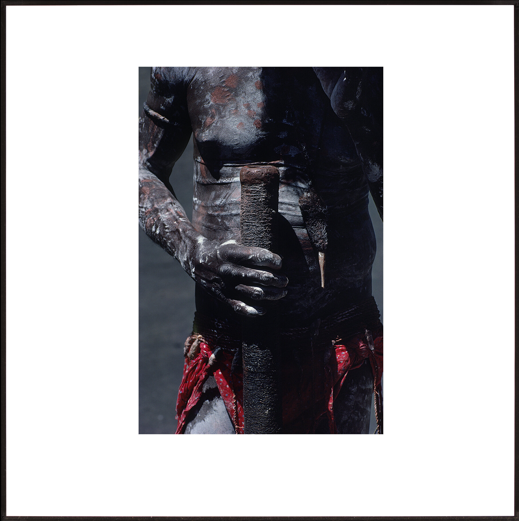 Scarified, 10 x 6 2/3", CW102