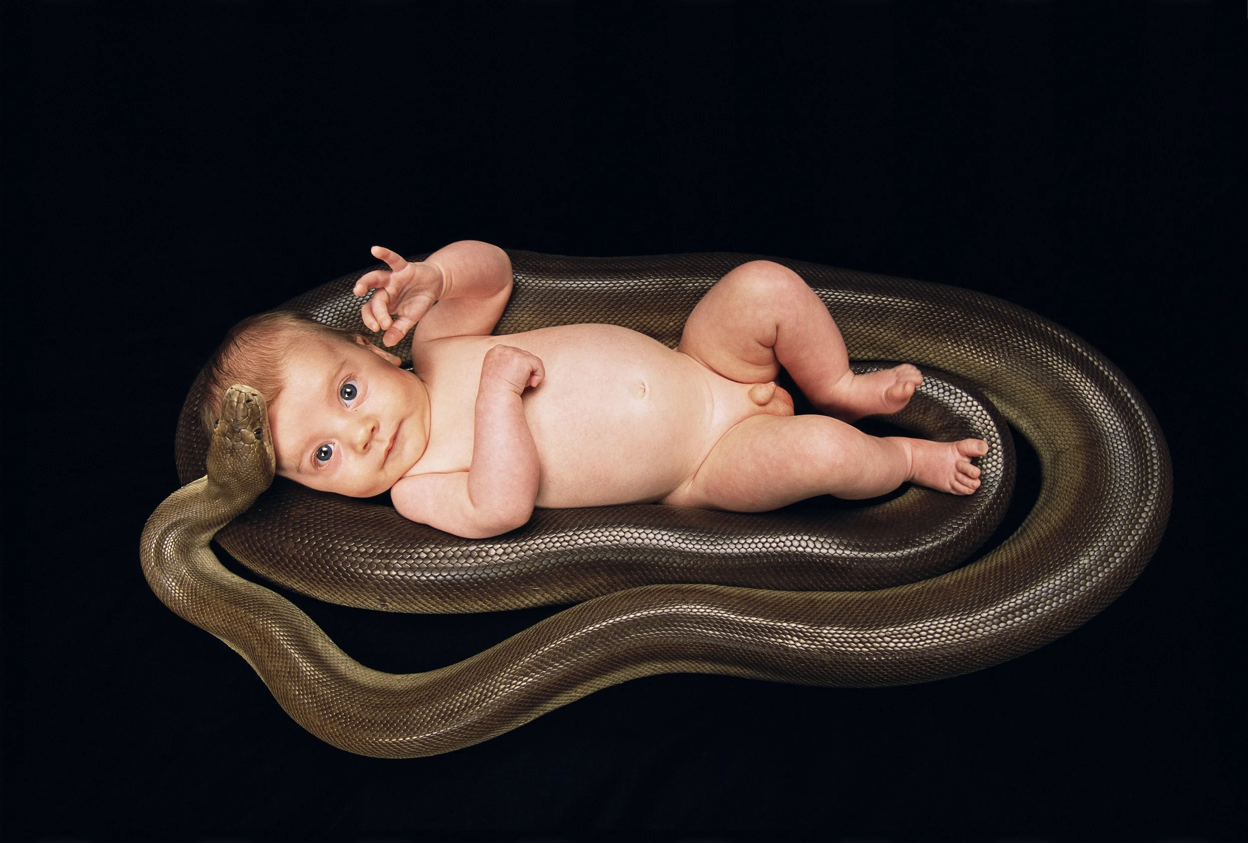 CW0085_Snake and baby.jpg