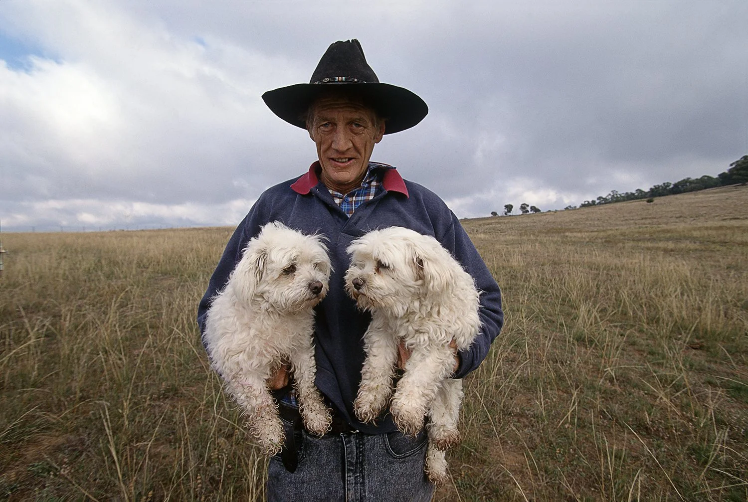 Cowboy with His Dogs