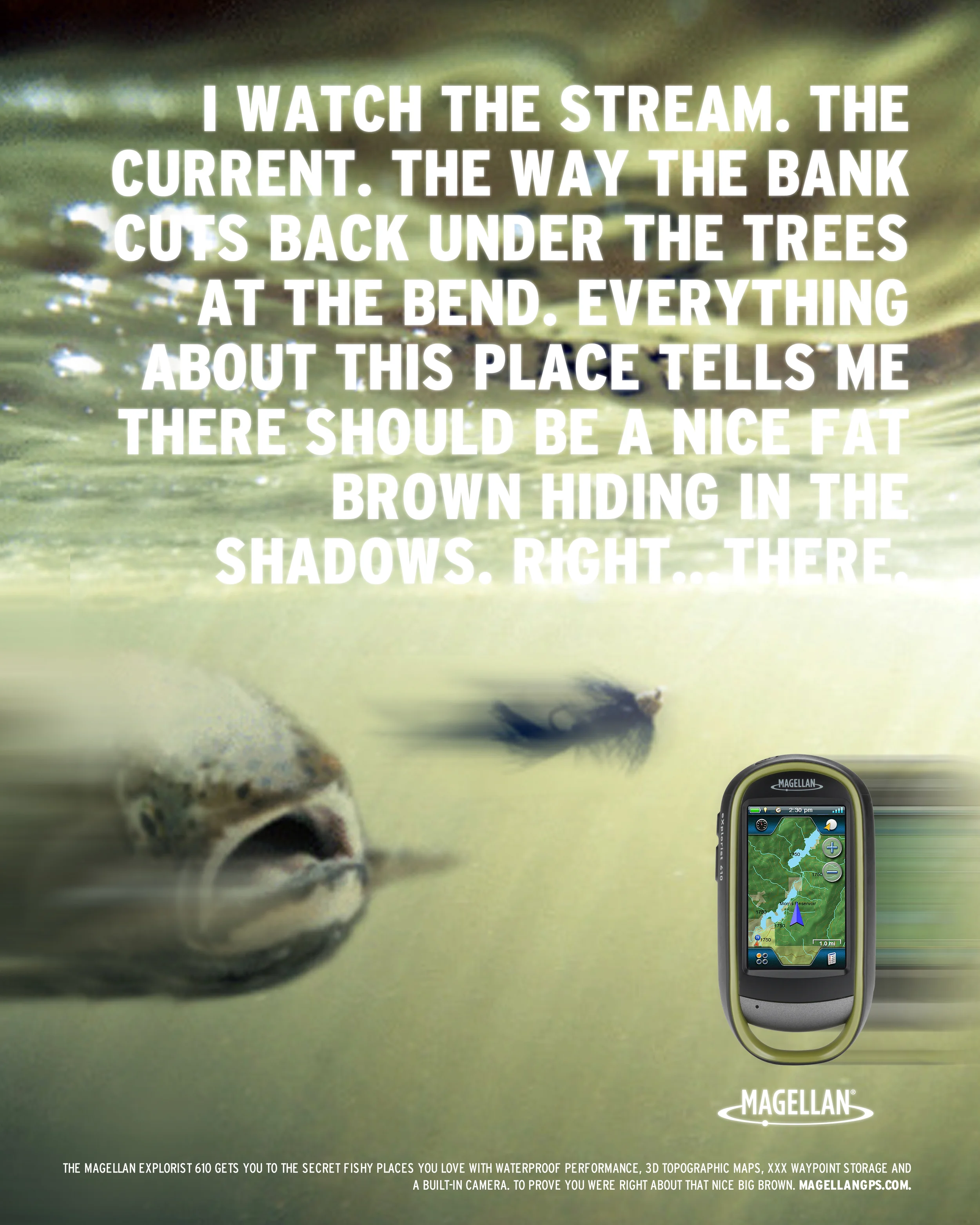 Fish_Ad3.jpg
