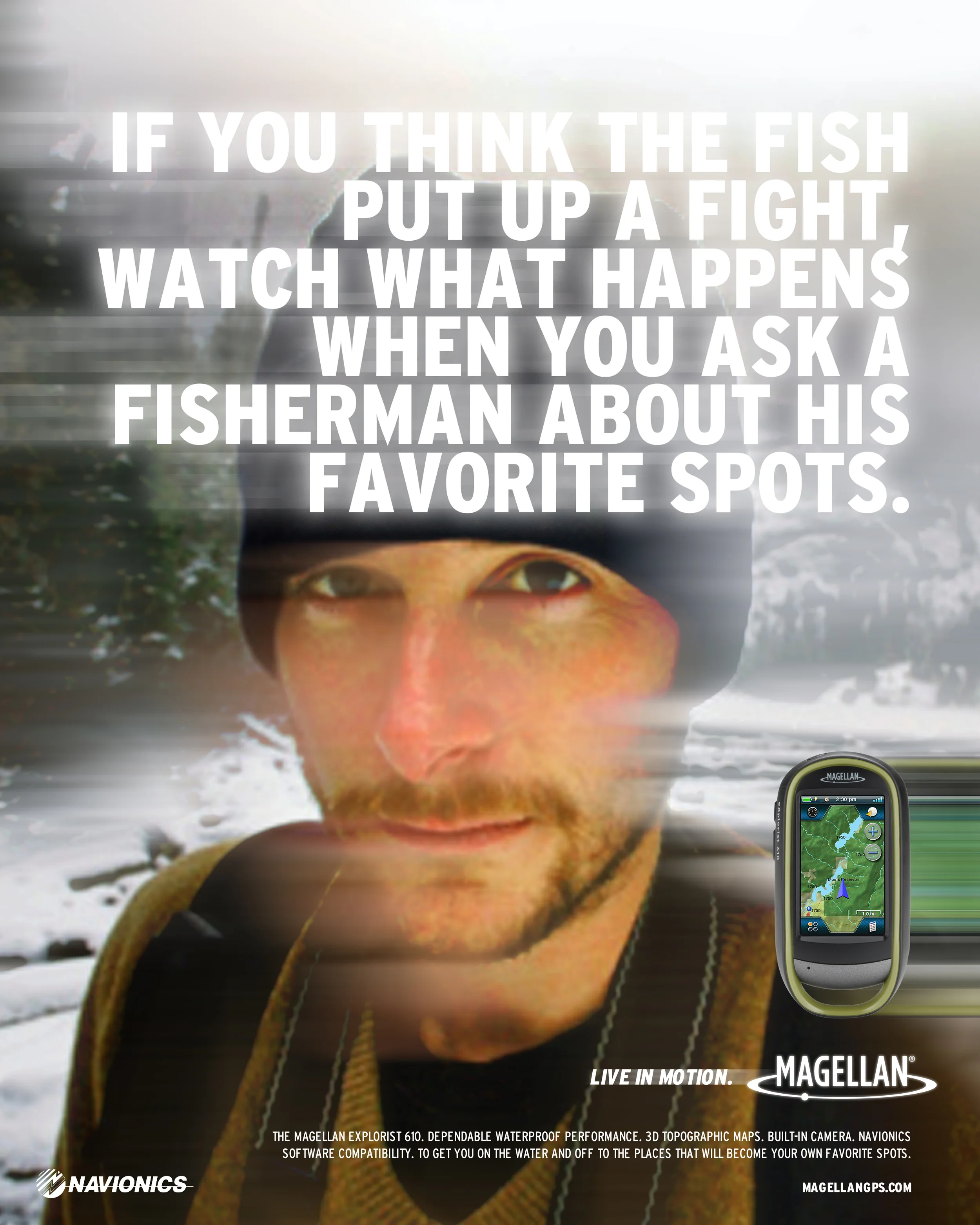 FishFight.jpg