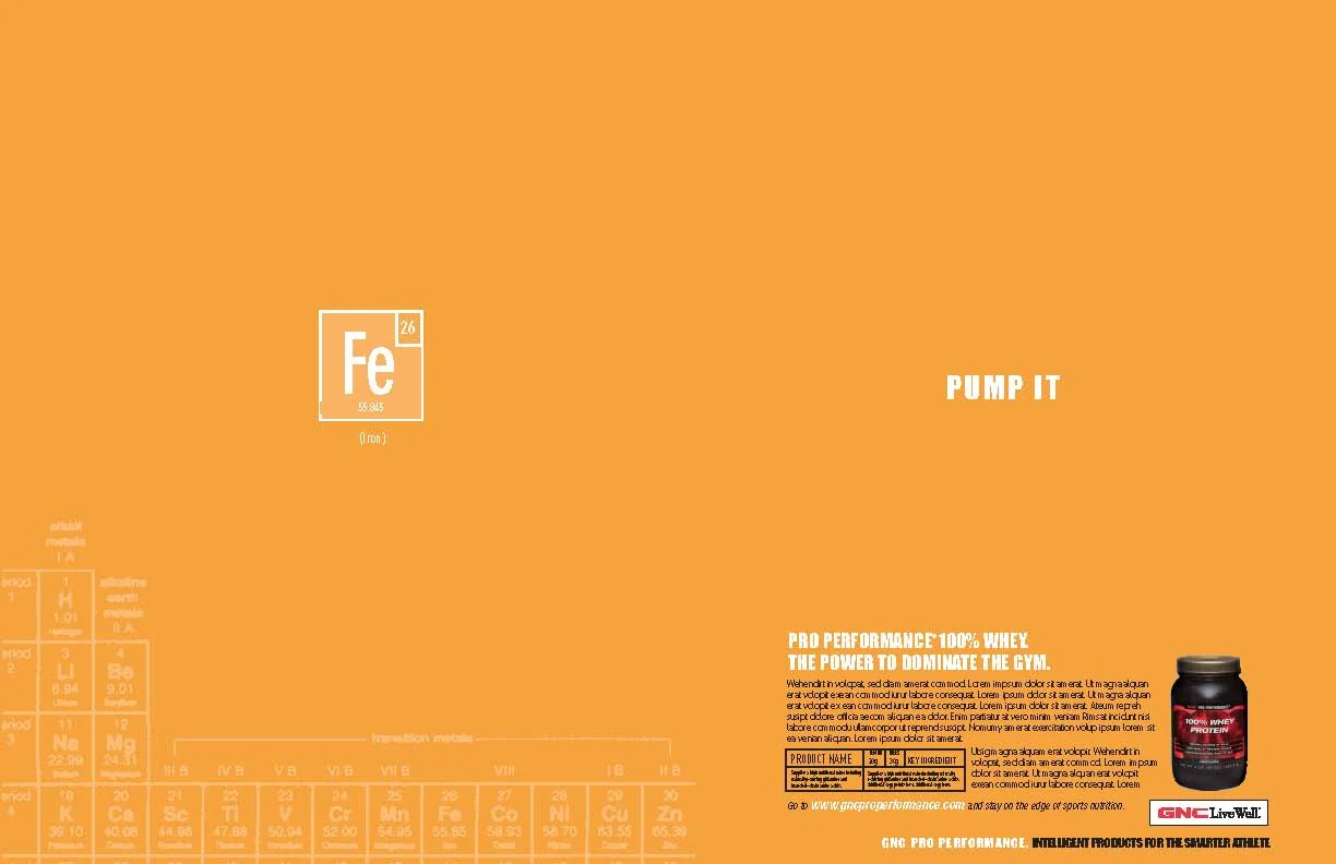 Pro Ads 2004 copy_Page_7.jpg