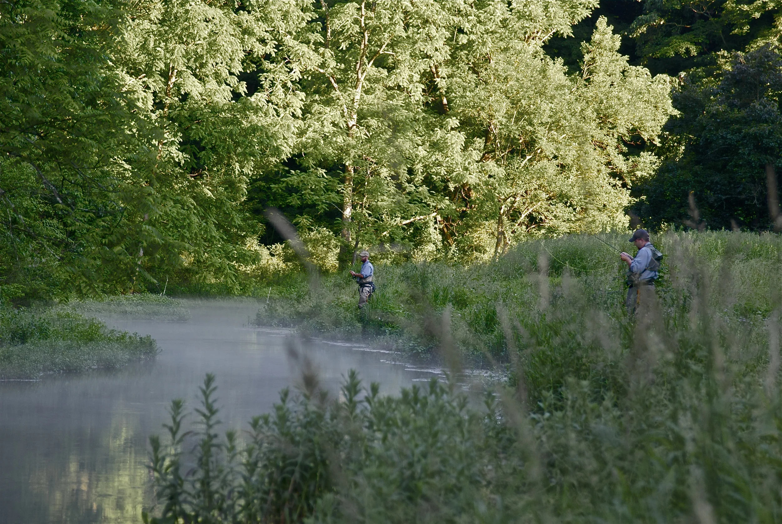 _DSC0132 - Version 2.jpg