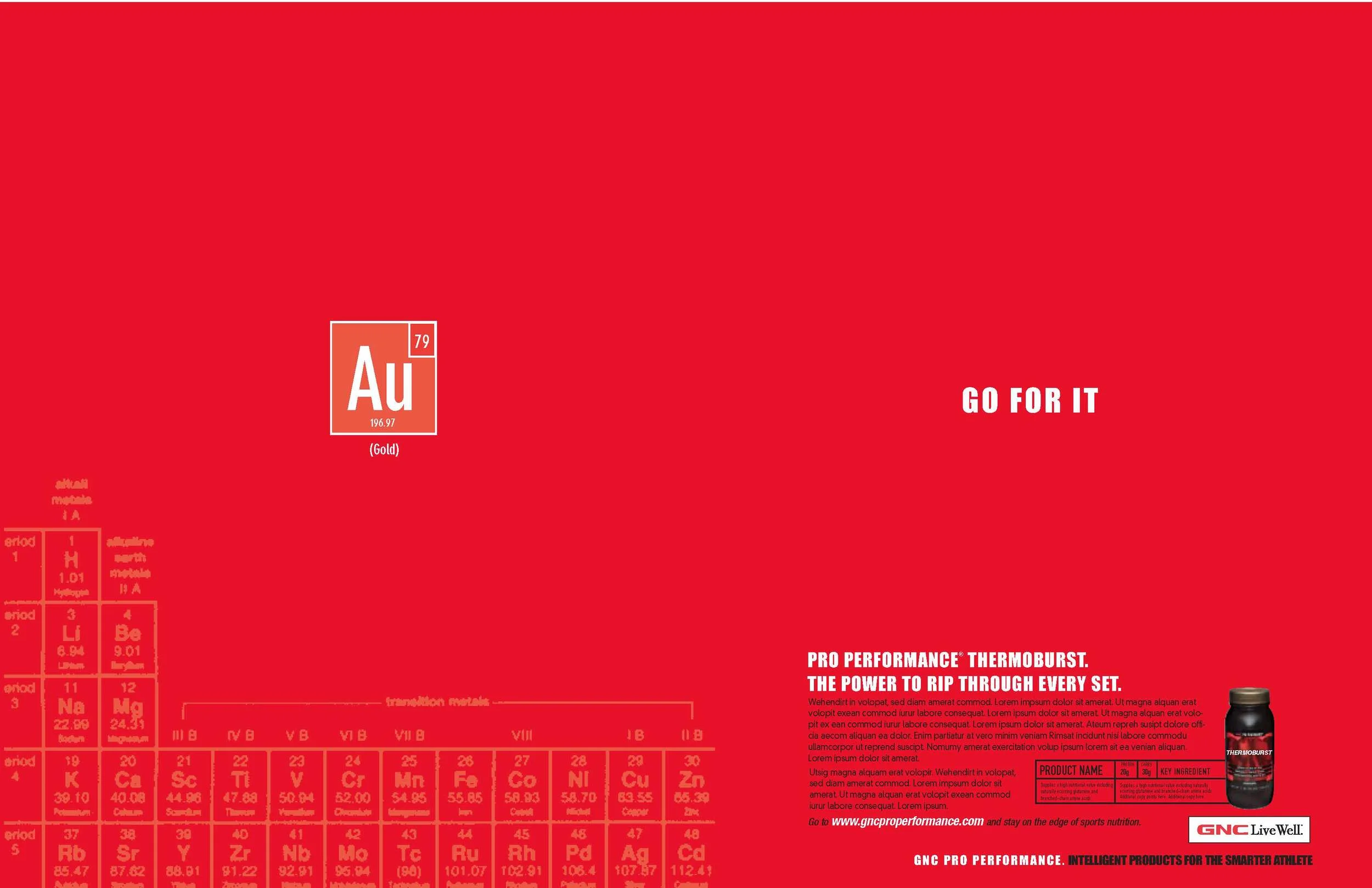 Pro Ads 2004 copy_Page_6.jpg