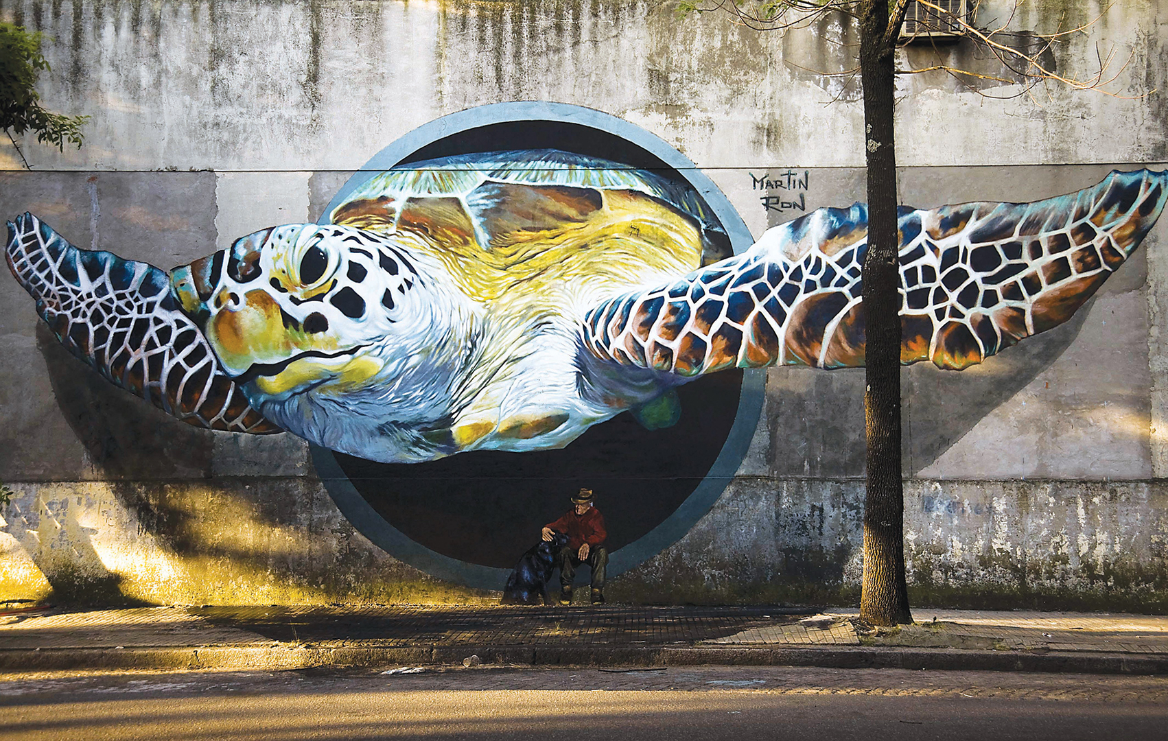 1 Martin Ron sea turtle in Buenos AIres.jpg