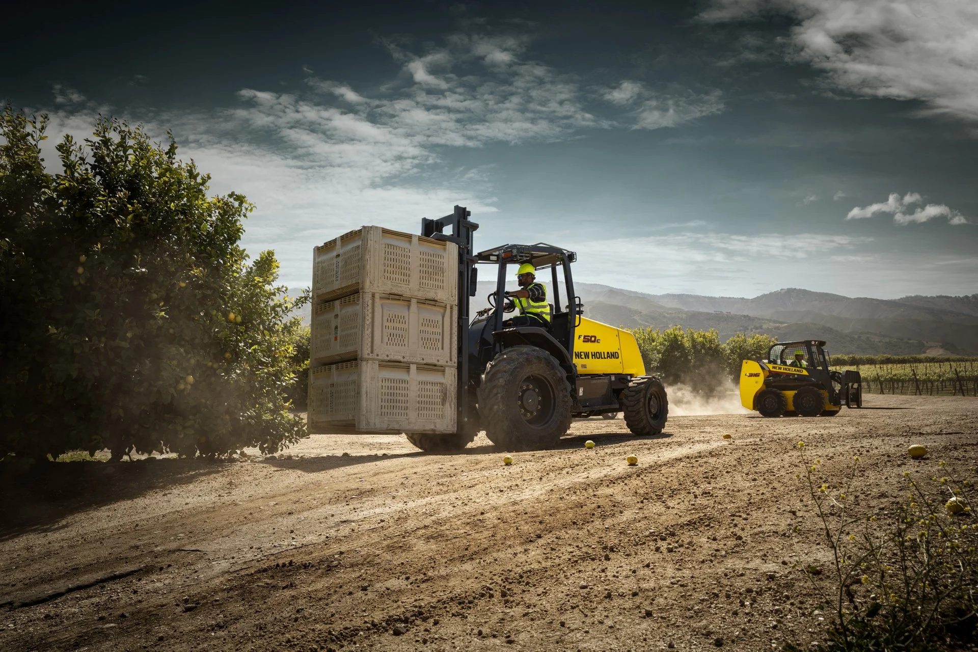 19 - NH_Fork_Lift_lemons_Heavy.jpeg