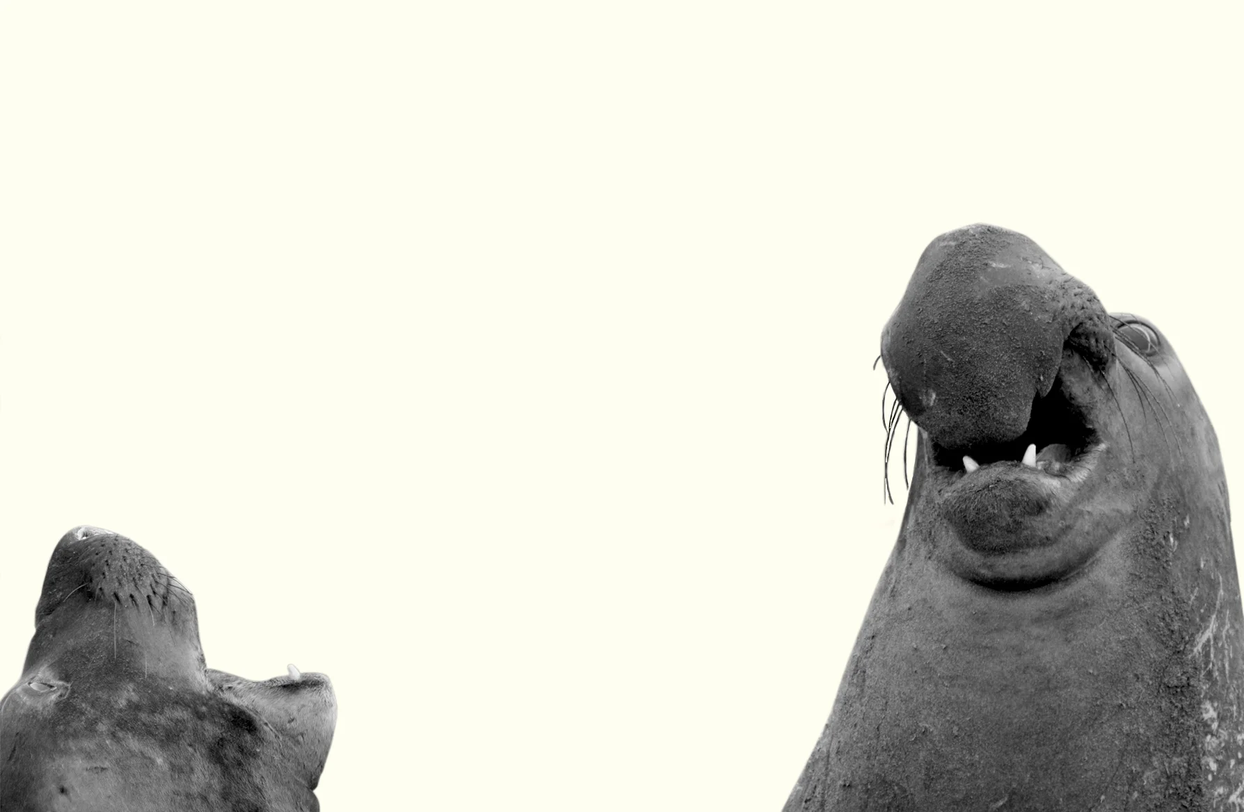 background4.jpg