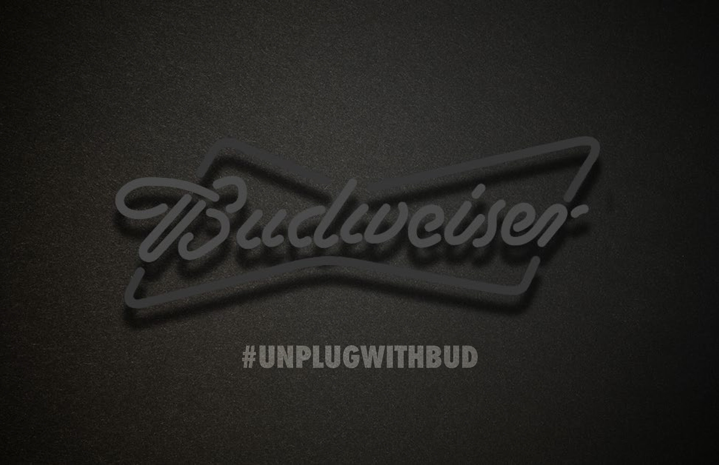 UnplugWithBud_BudweiserEmergingCreative_Page_1.jpg